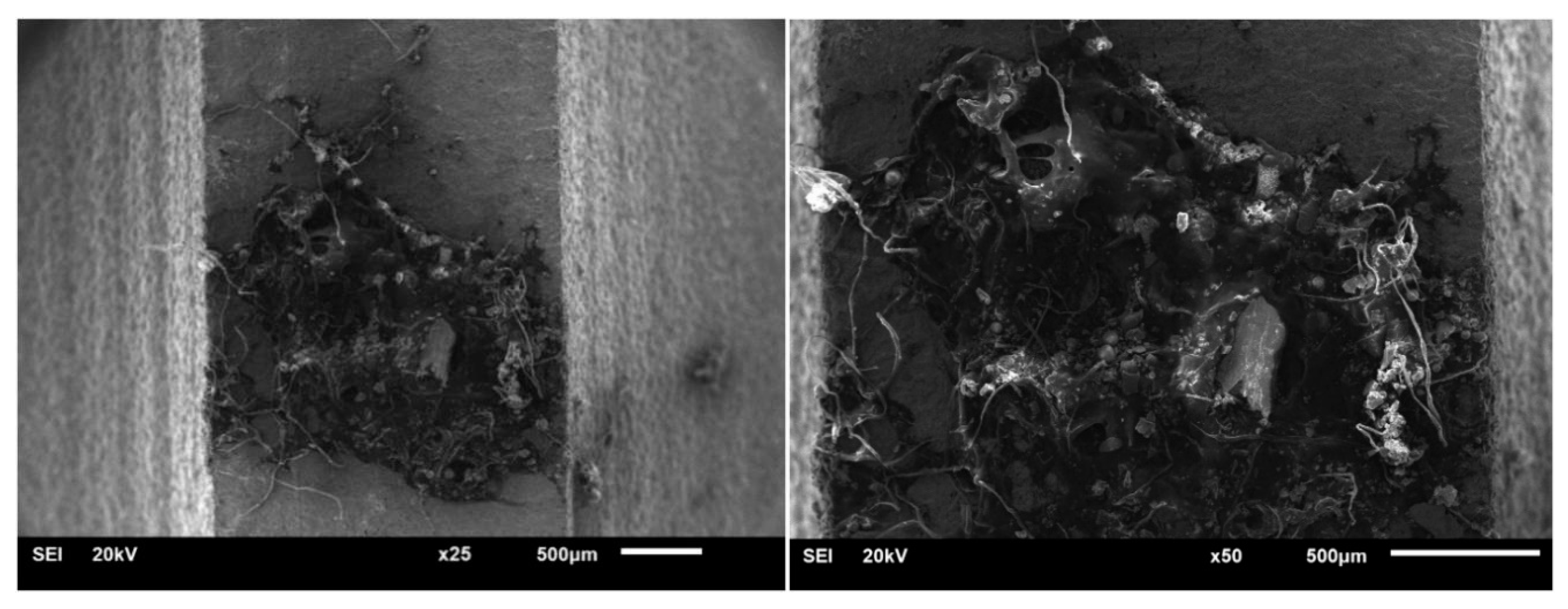 Materials 13 02372 g011