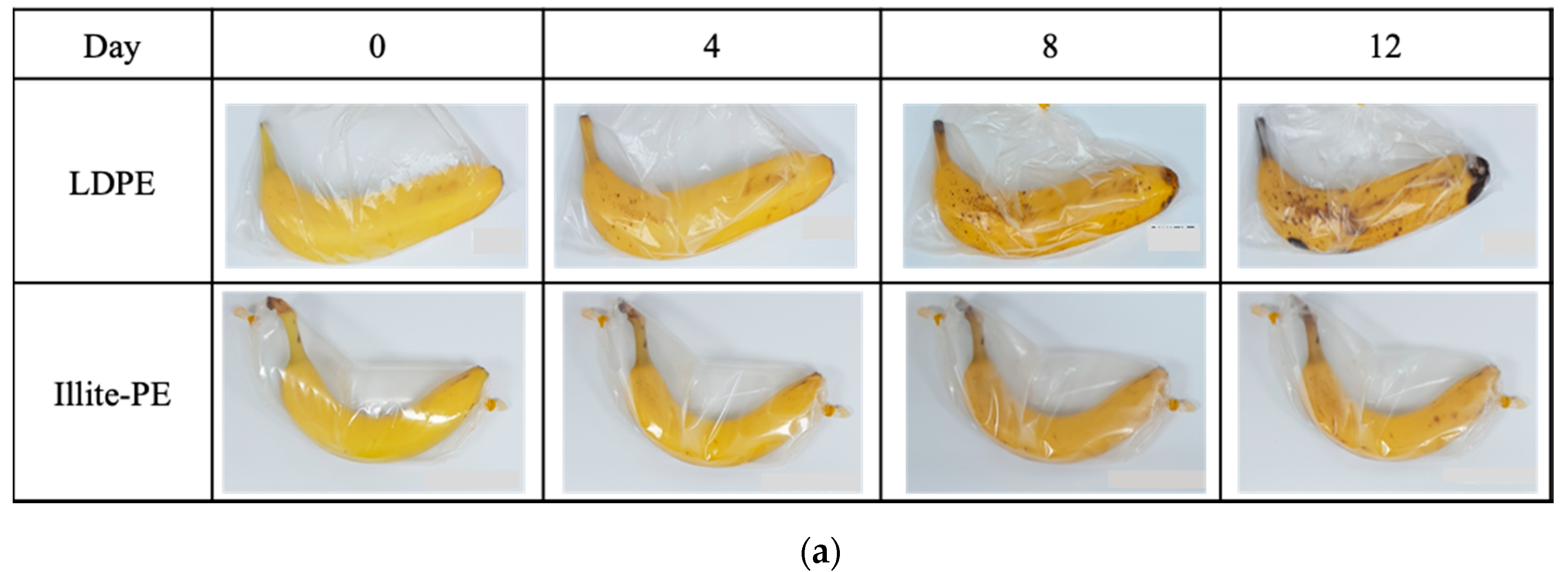 Materials 13 02382 g006a