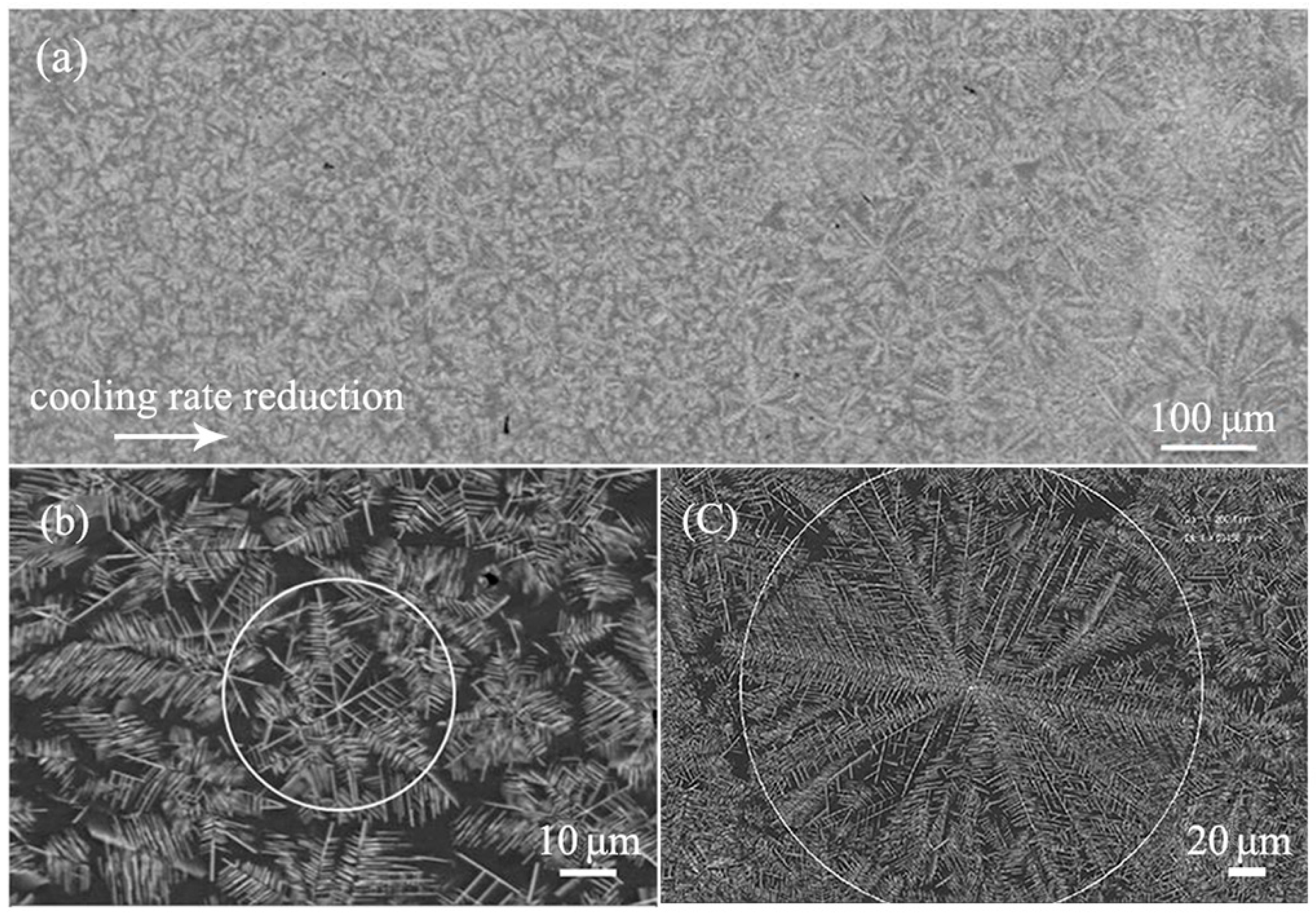 Materials 13 02388 g007 Materials 13 02388 g007