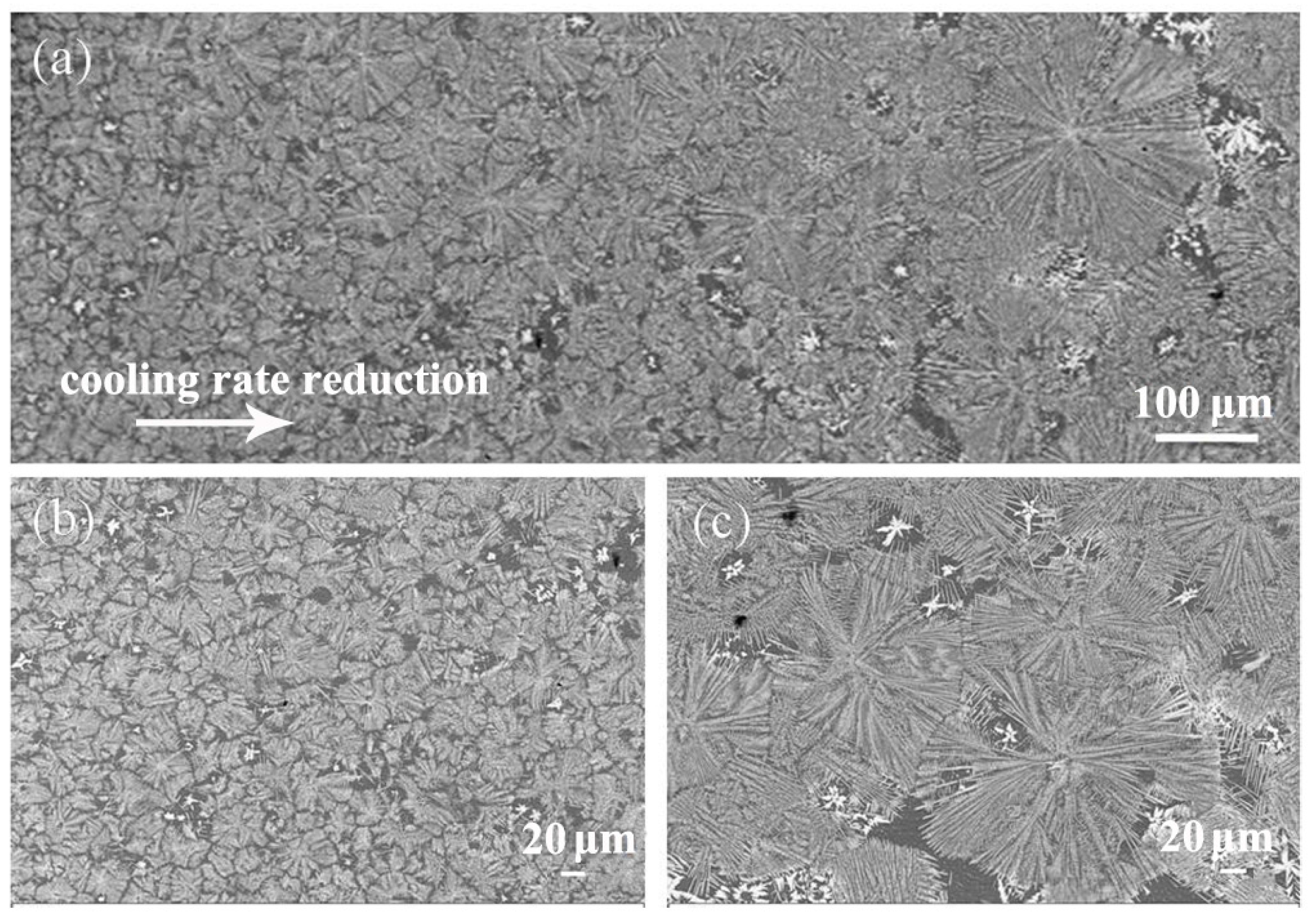 Materials 13 02388 g010 Materials 13 02388 g010