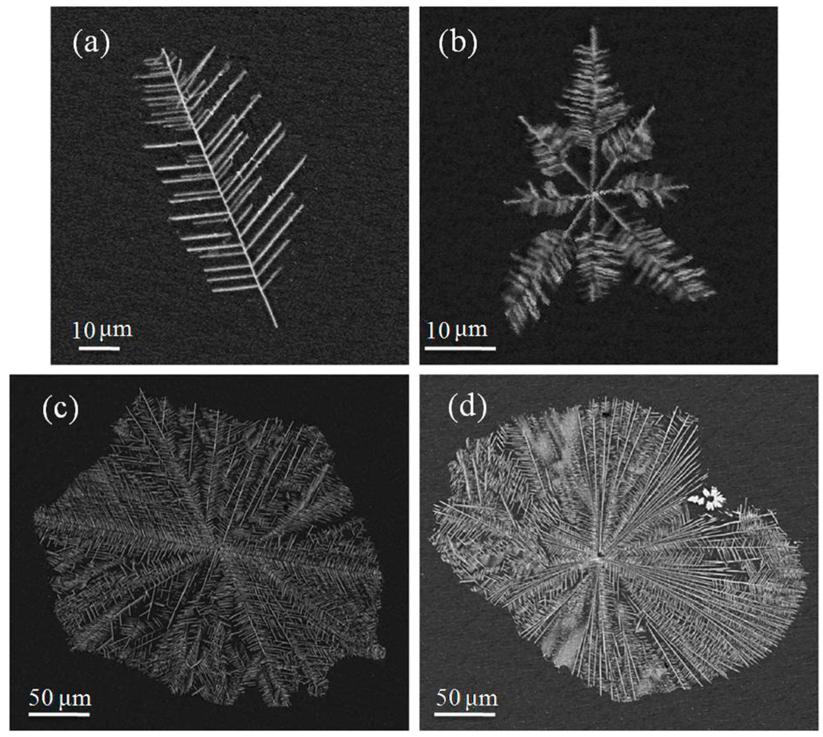 Materials 13 02388 g013 Materials 13 02388 g013