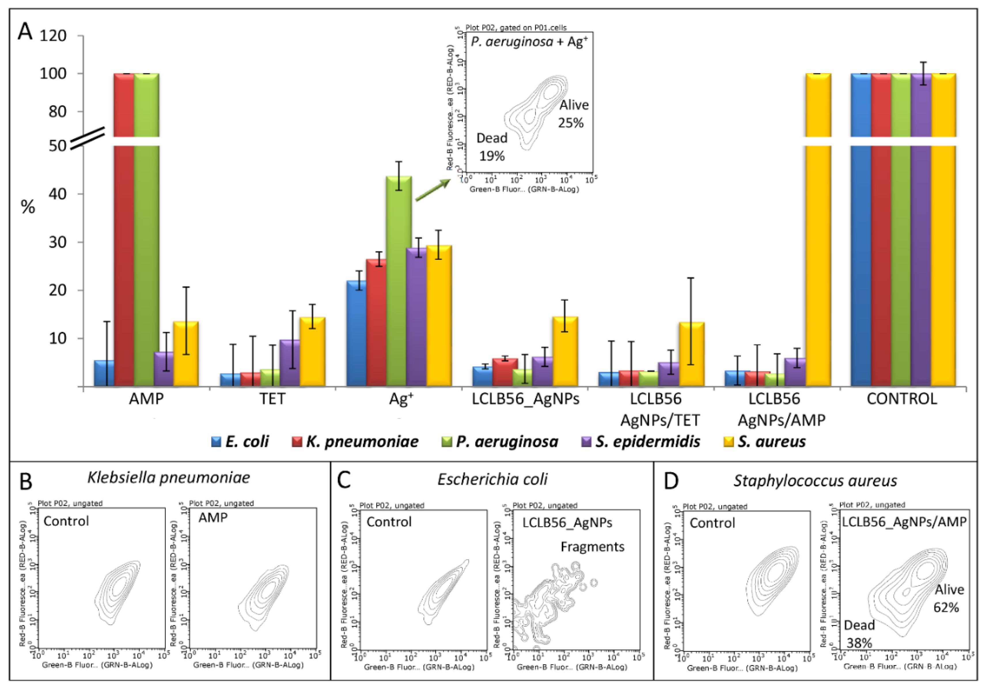 Materials 13 02403 g006 Materials 13 02403 g006