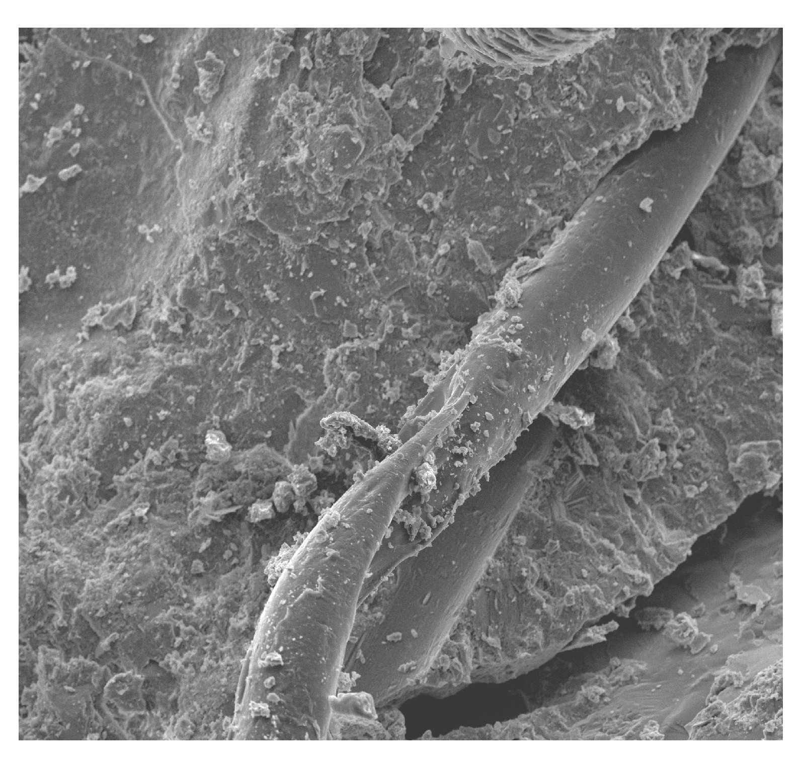 Materials 13 02414 g012 Materials 13 02414 g012