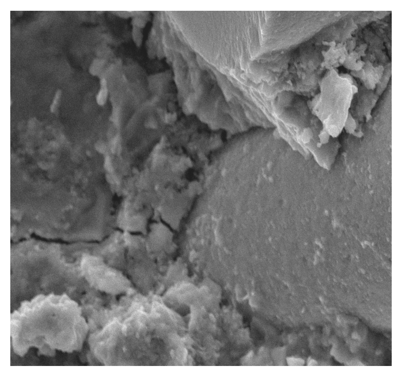 Materials 13 02414 g014 Materials 13 02414 g014