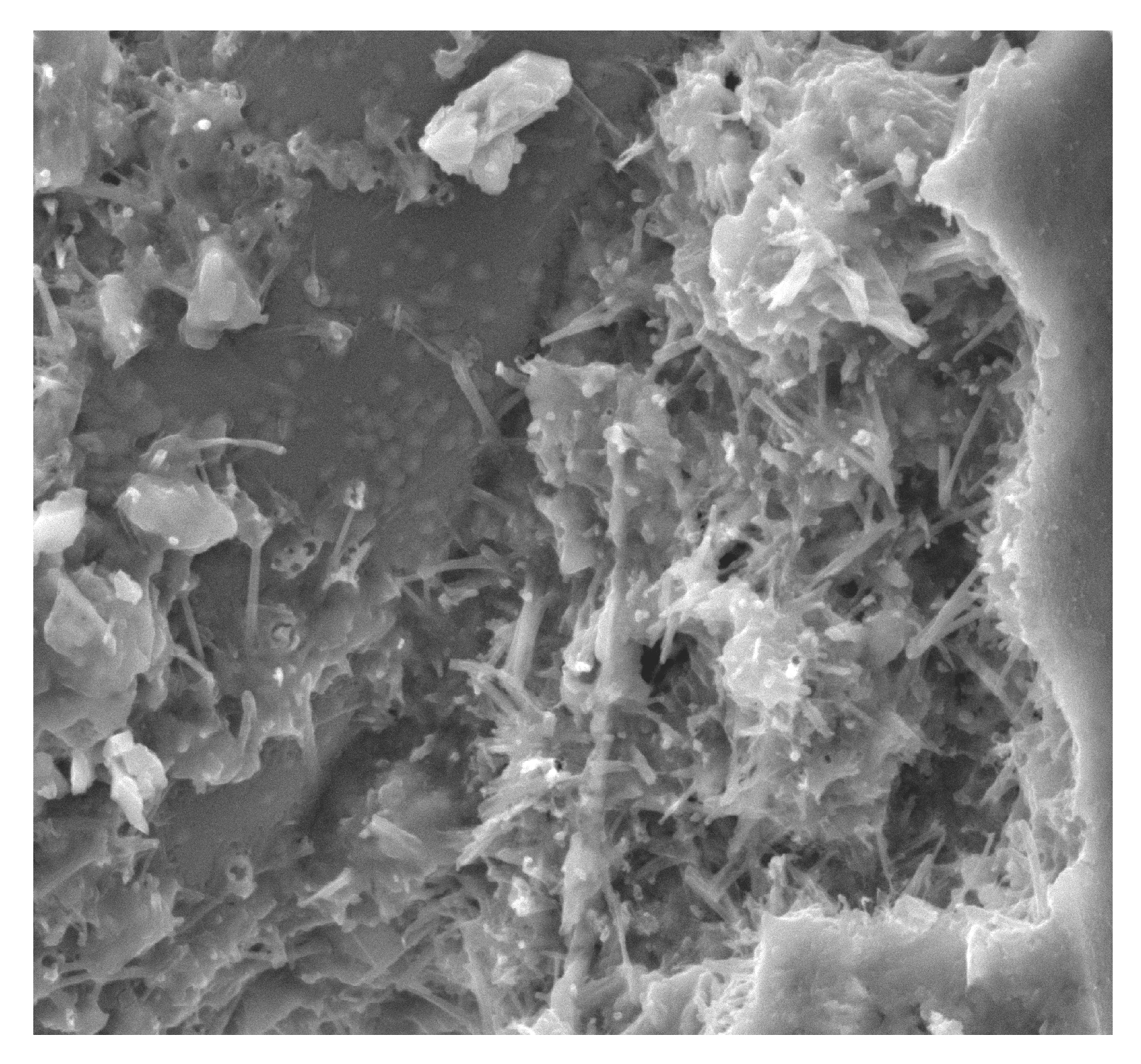 Materials 13 02414 g015 Materials 13 02414 g015