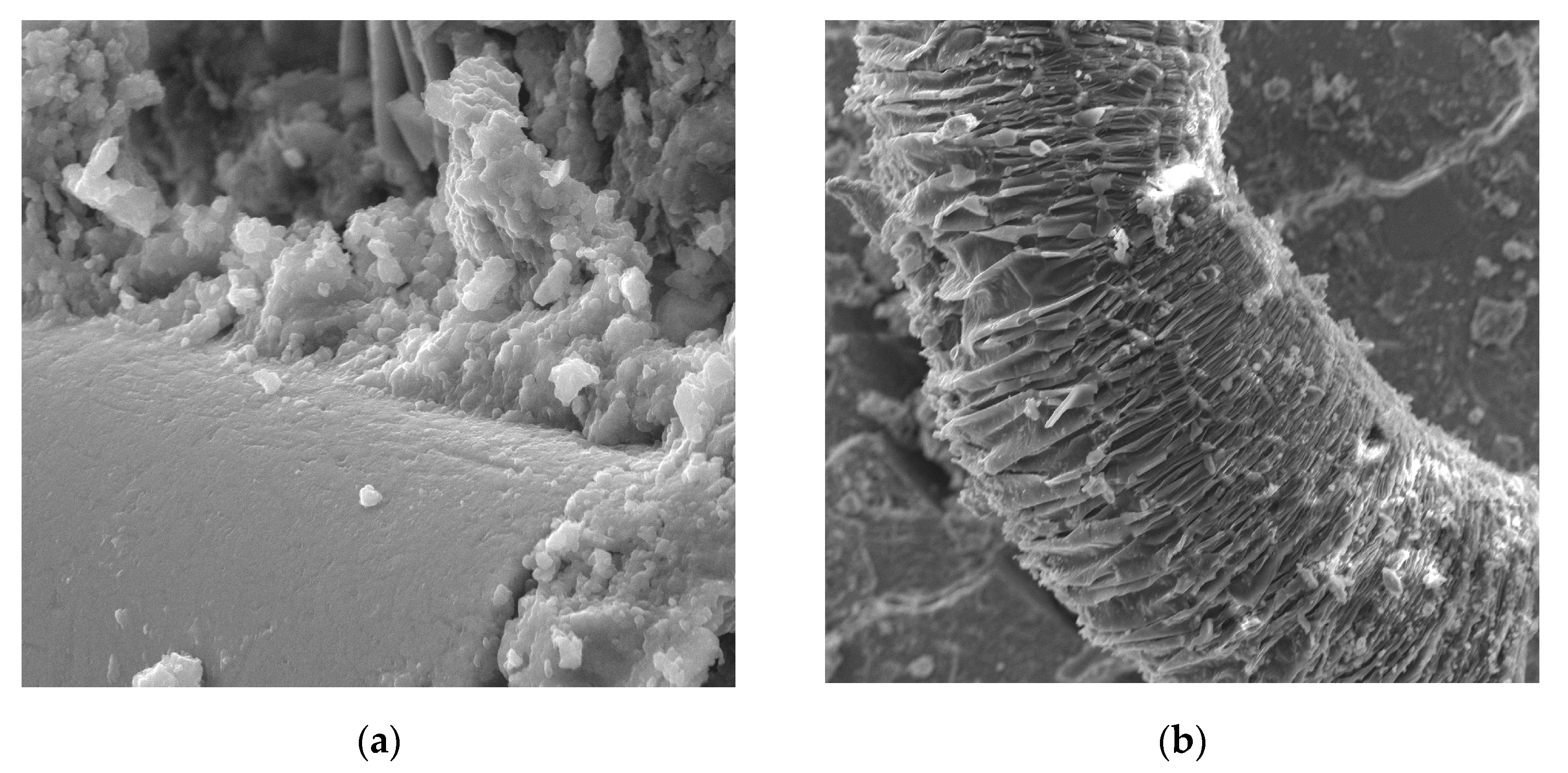 Materials 13 02414 g017 Materials 13 02414 g017