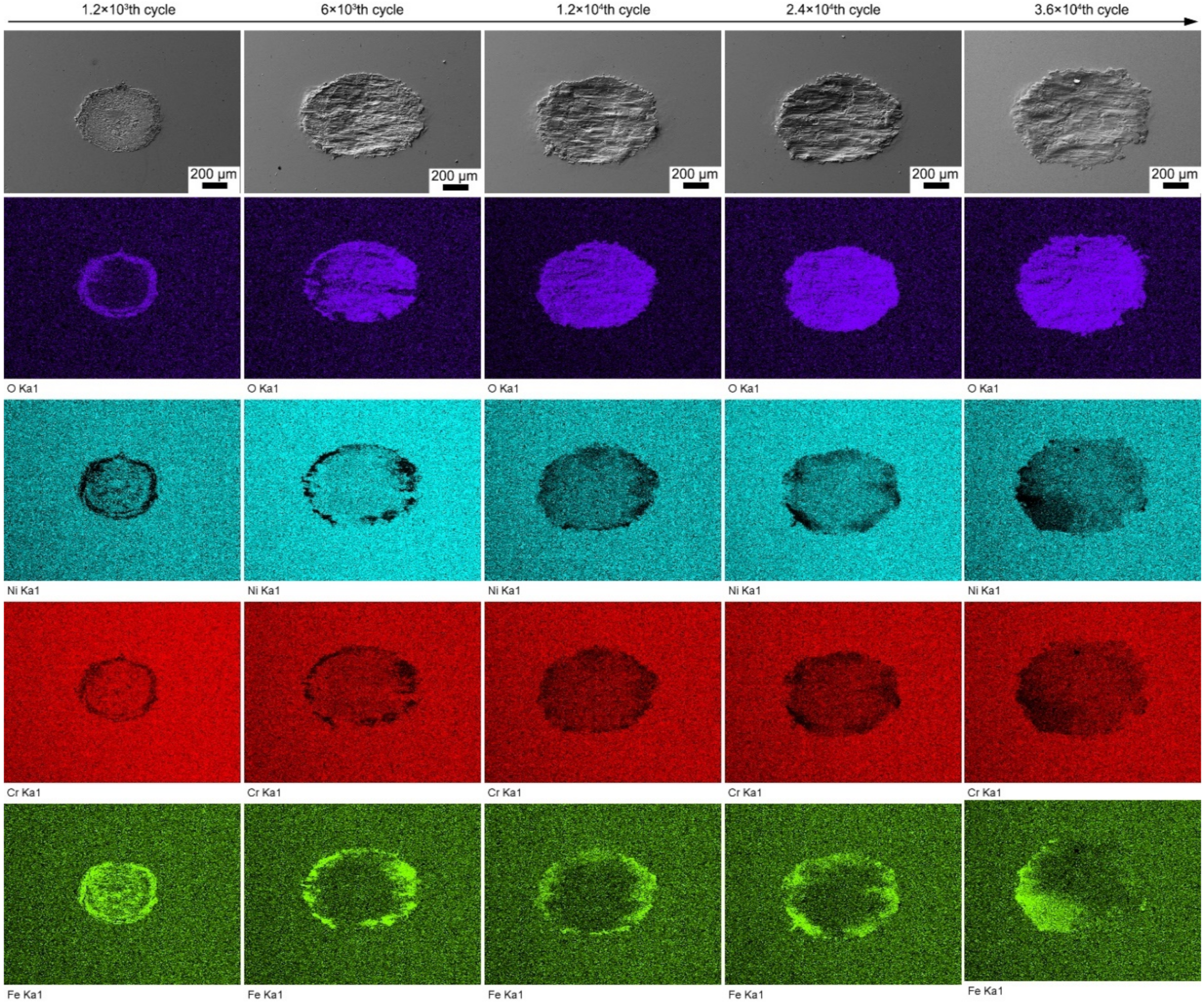 Materials 13 02417 g005