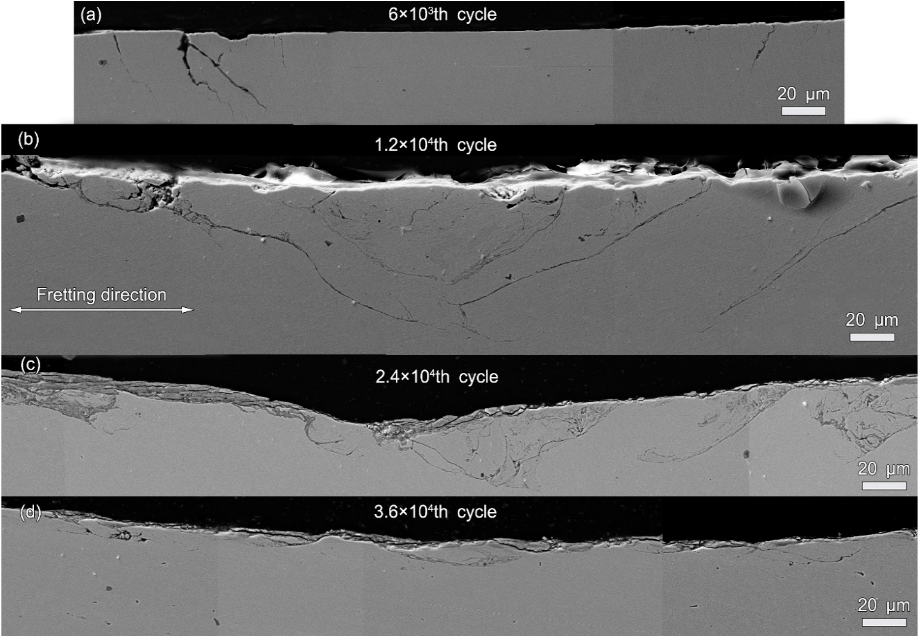 Materials 13 02417 g007