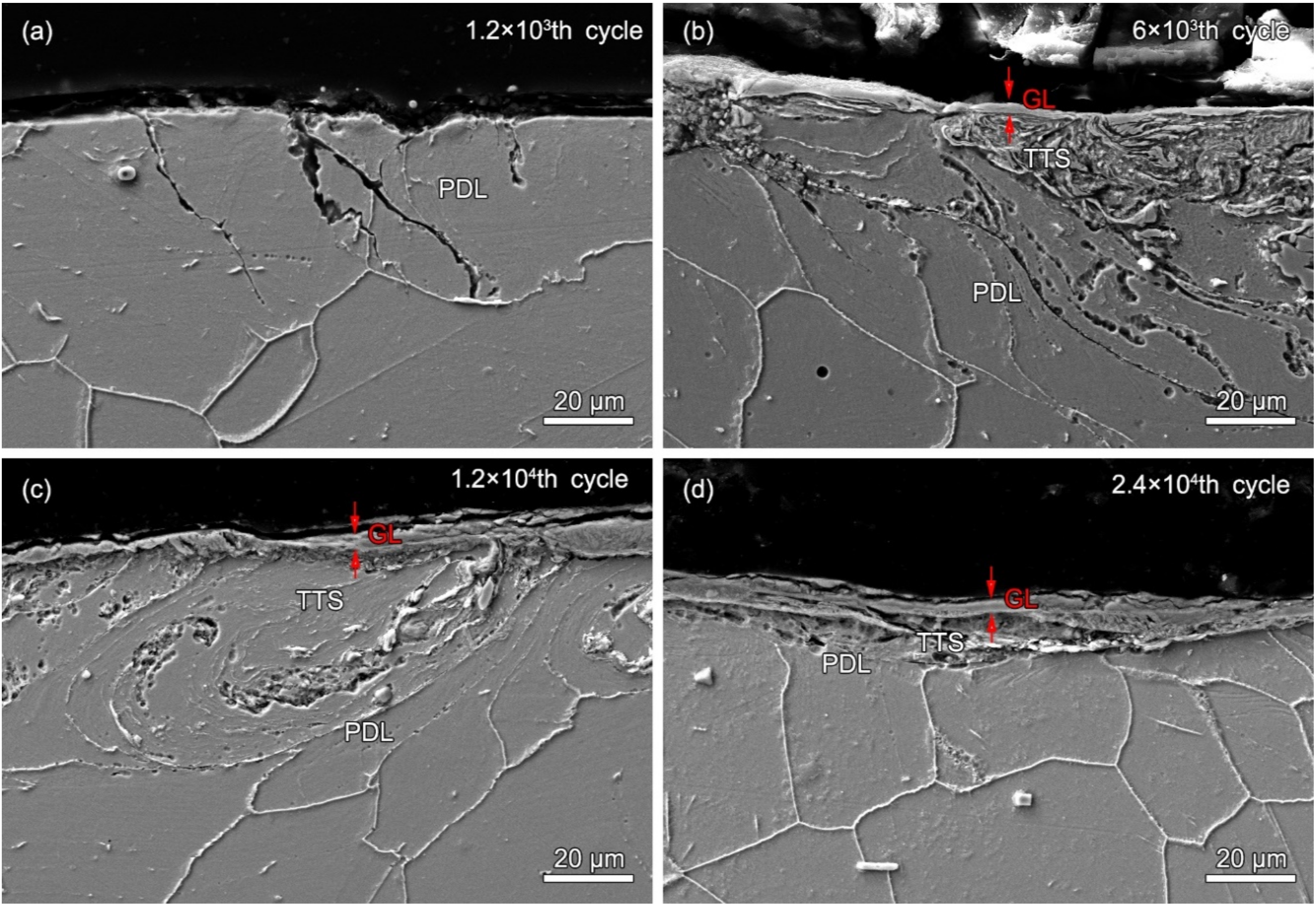 Materials 13 02417 g008