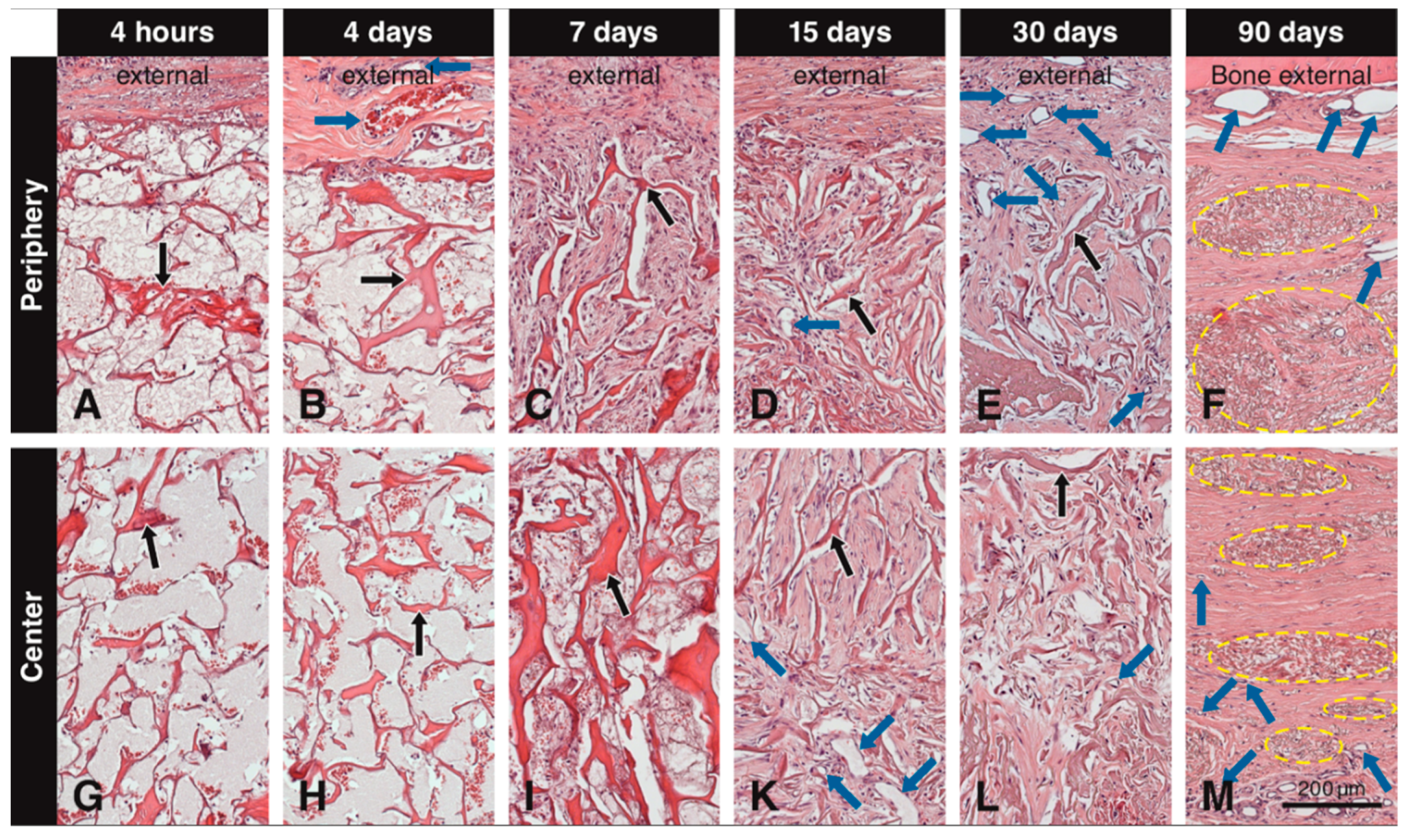 Materials 13 02420 g002