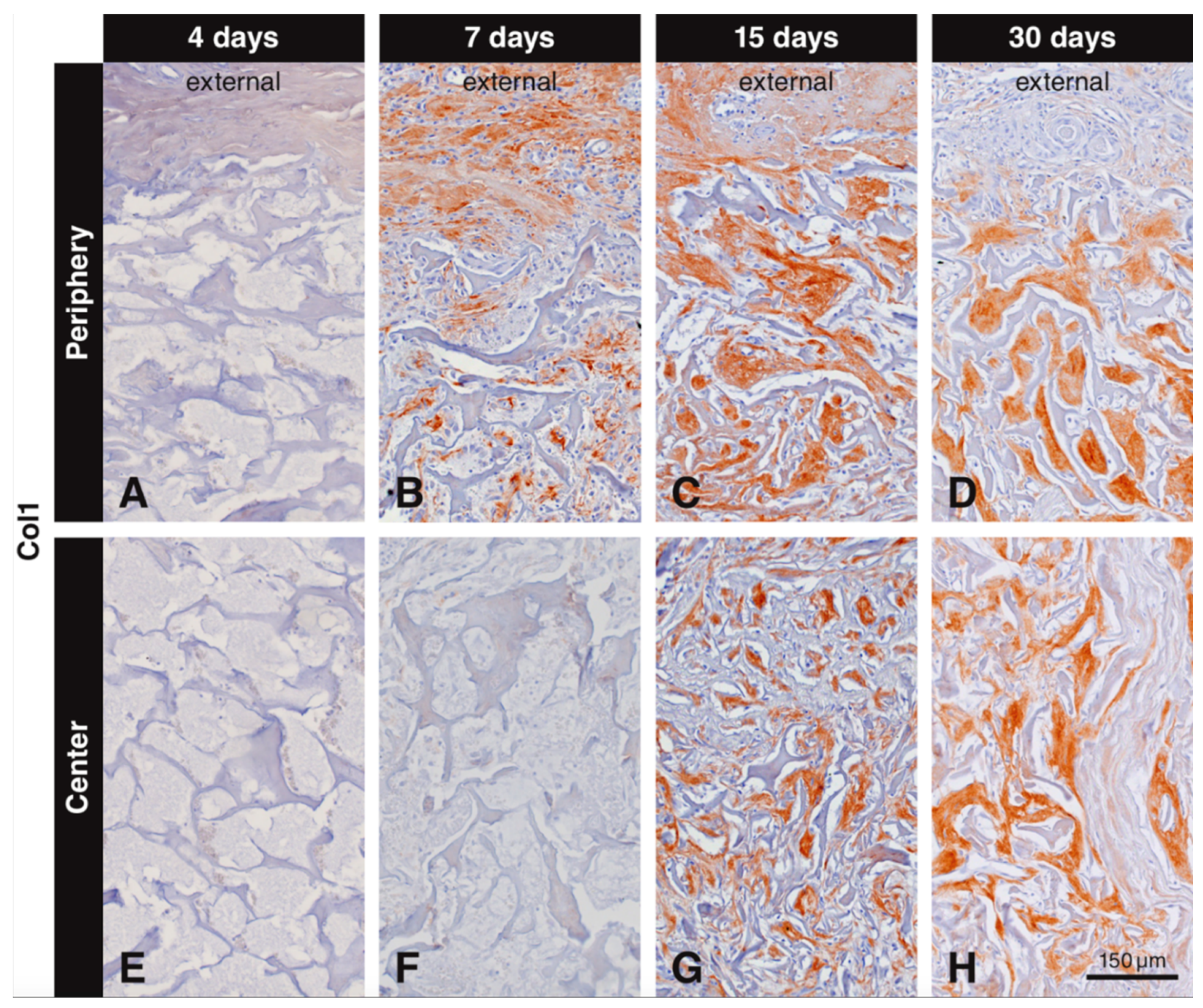 Materials 13 02420 g004