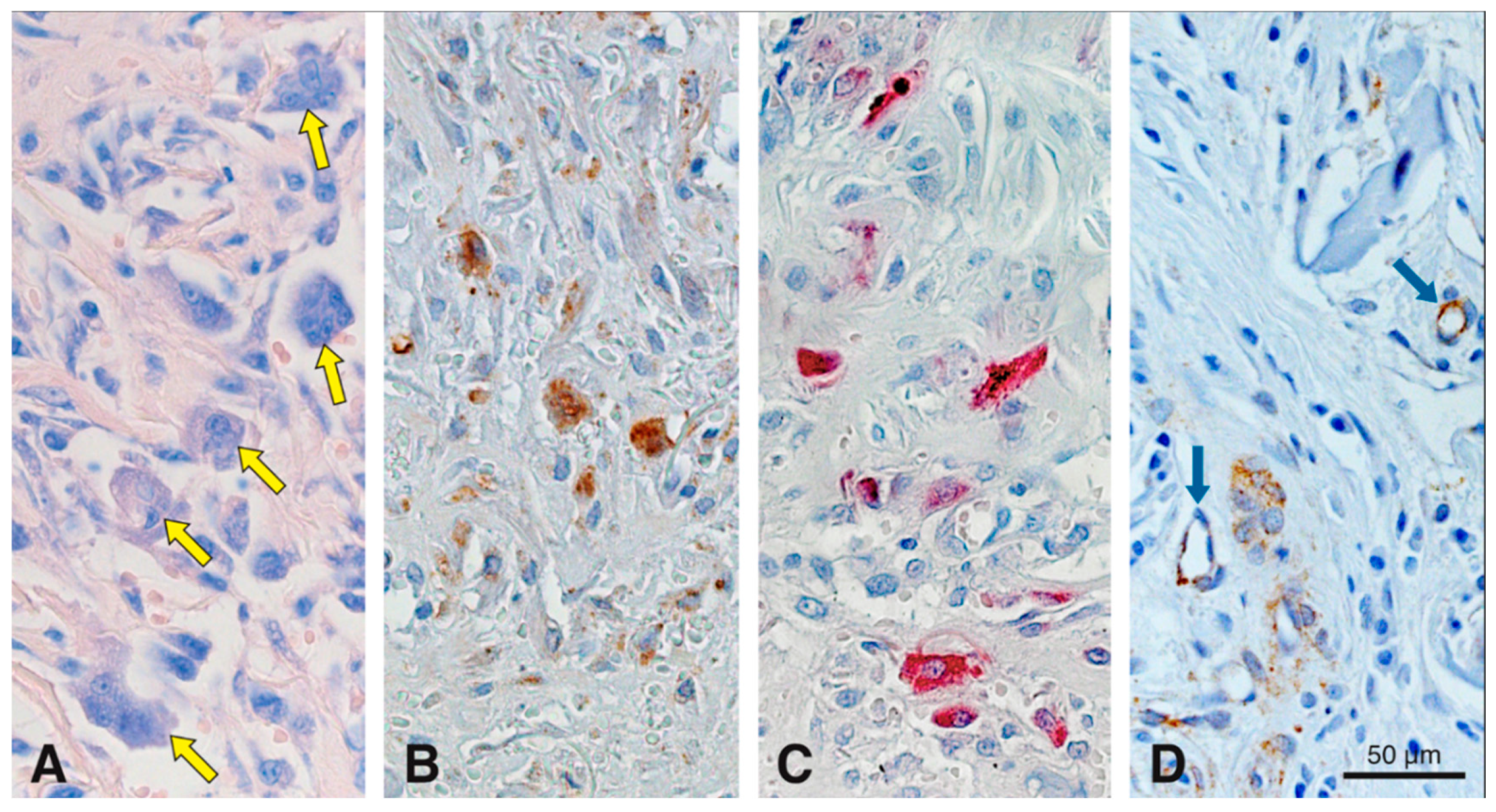 Materials 13 02420 g007
