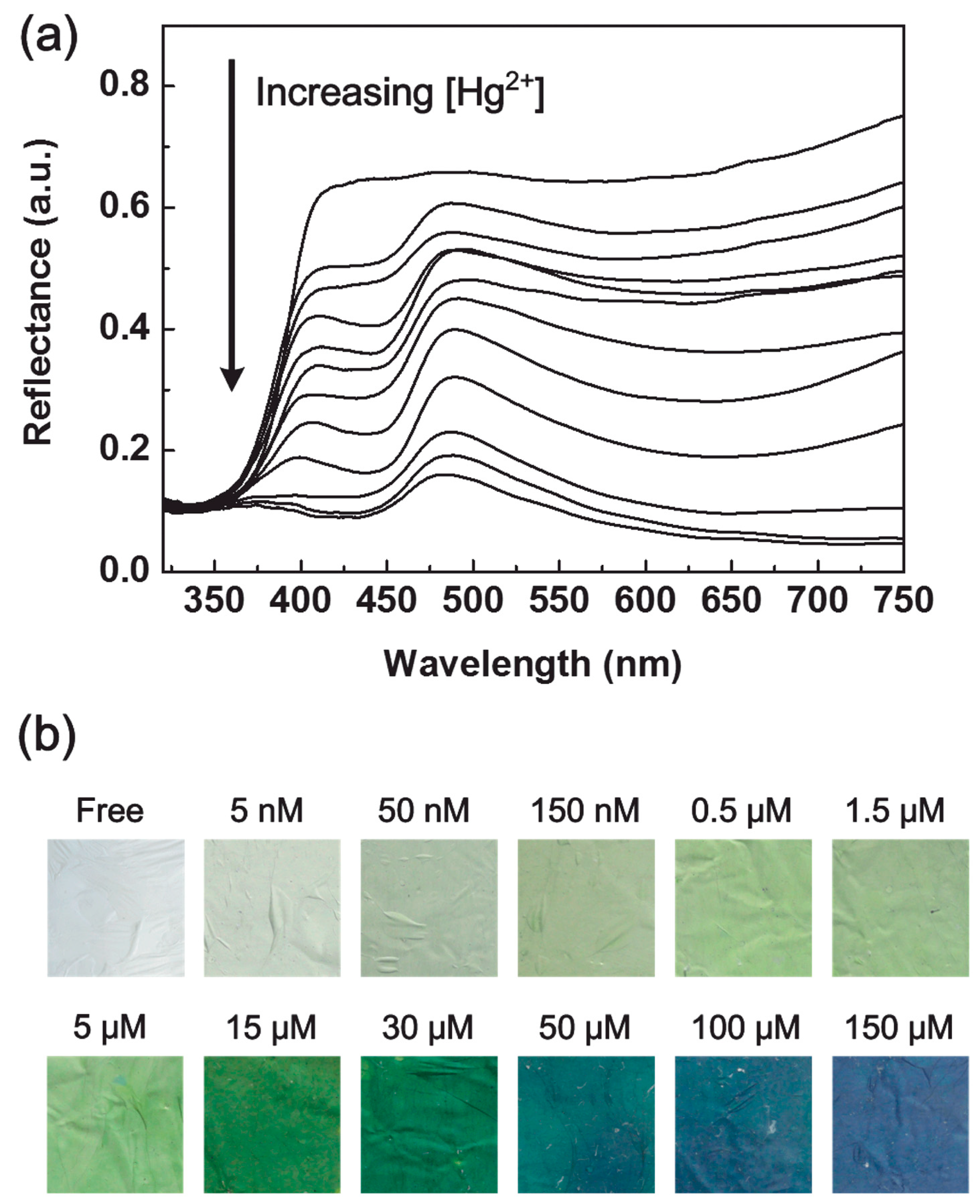Materials 13 02421 g020 Materials 13 02421 g020