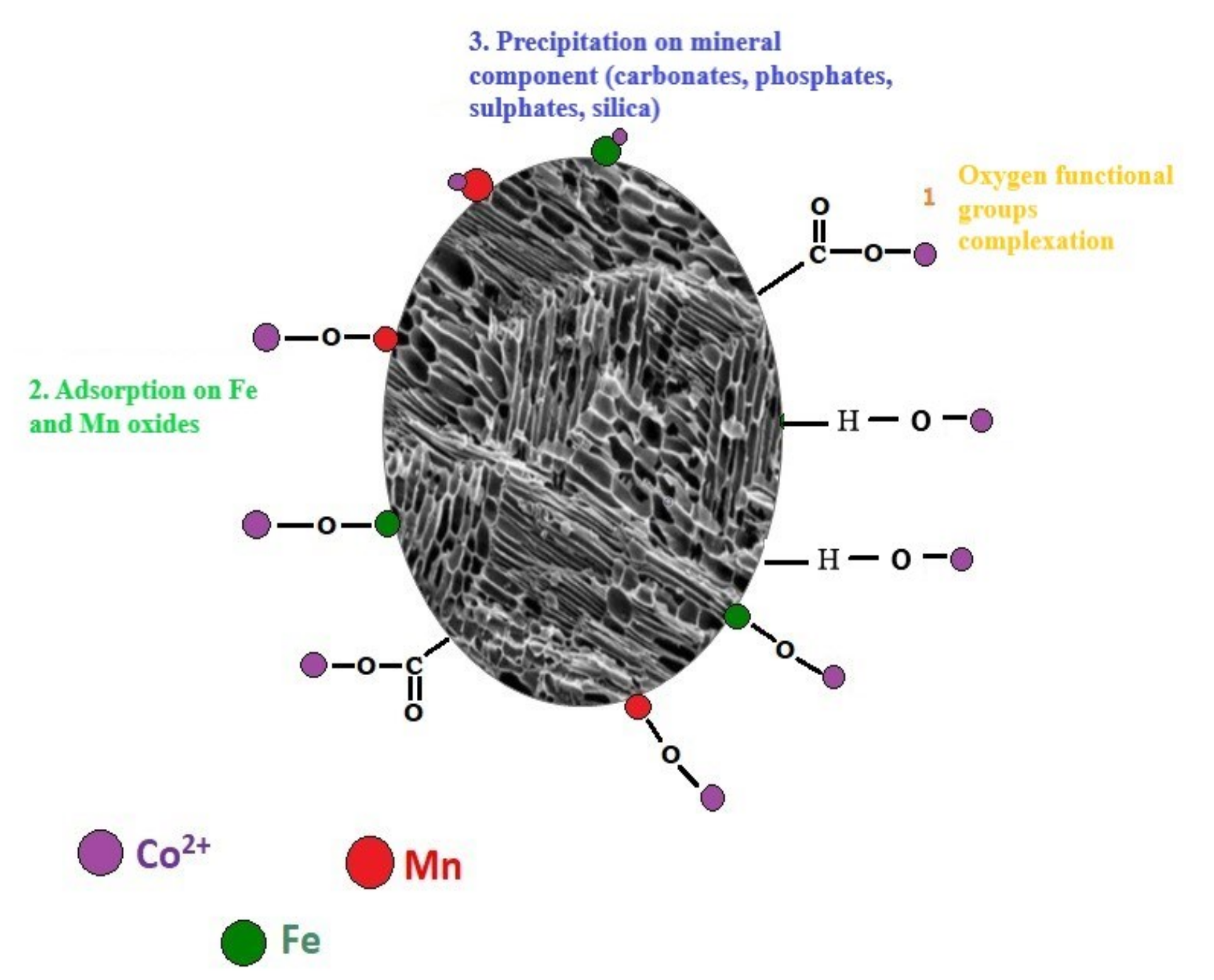Materials 13 02462 g004
