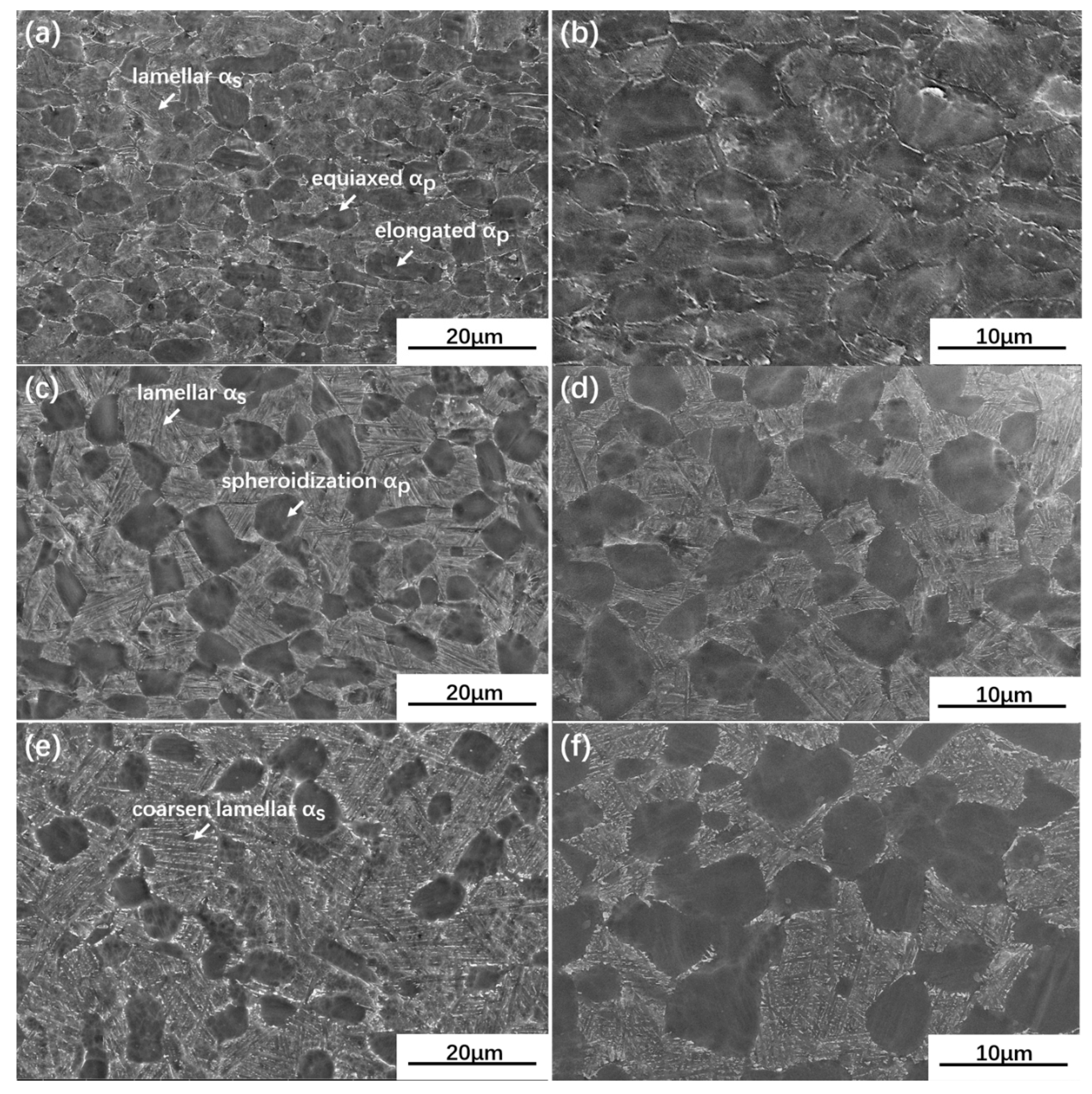 Materials 13 02466 g004 Materials 13 02466 g004