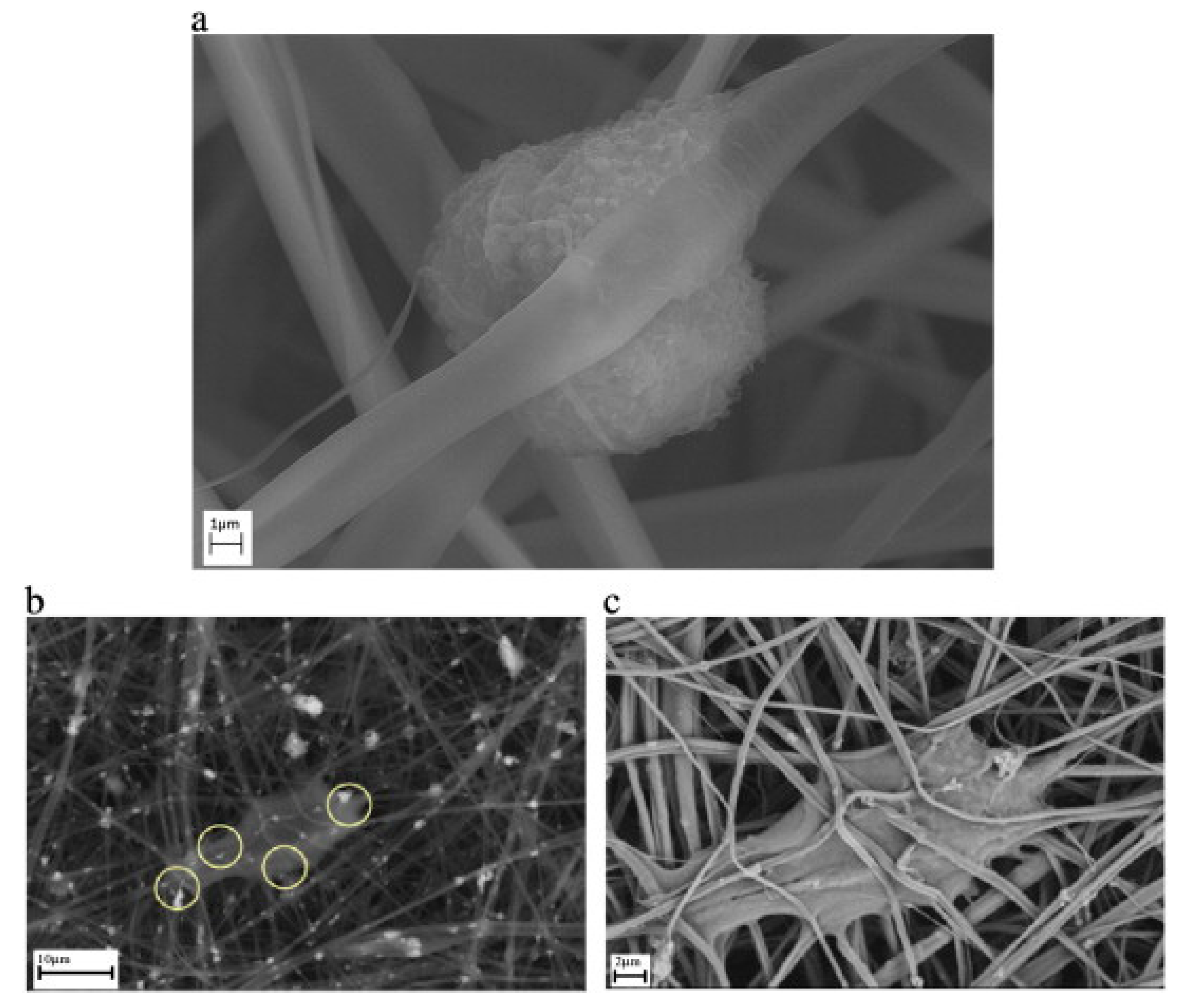 Materials 13 02481 g005 Materials 13 02481 g005