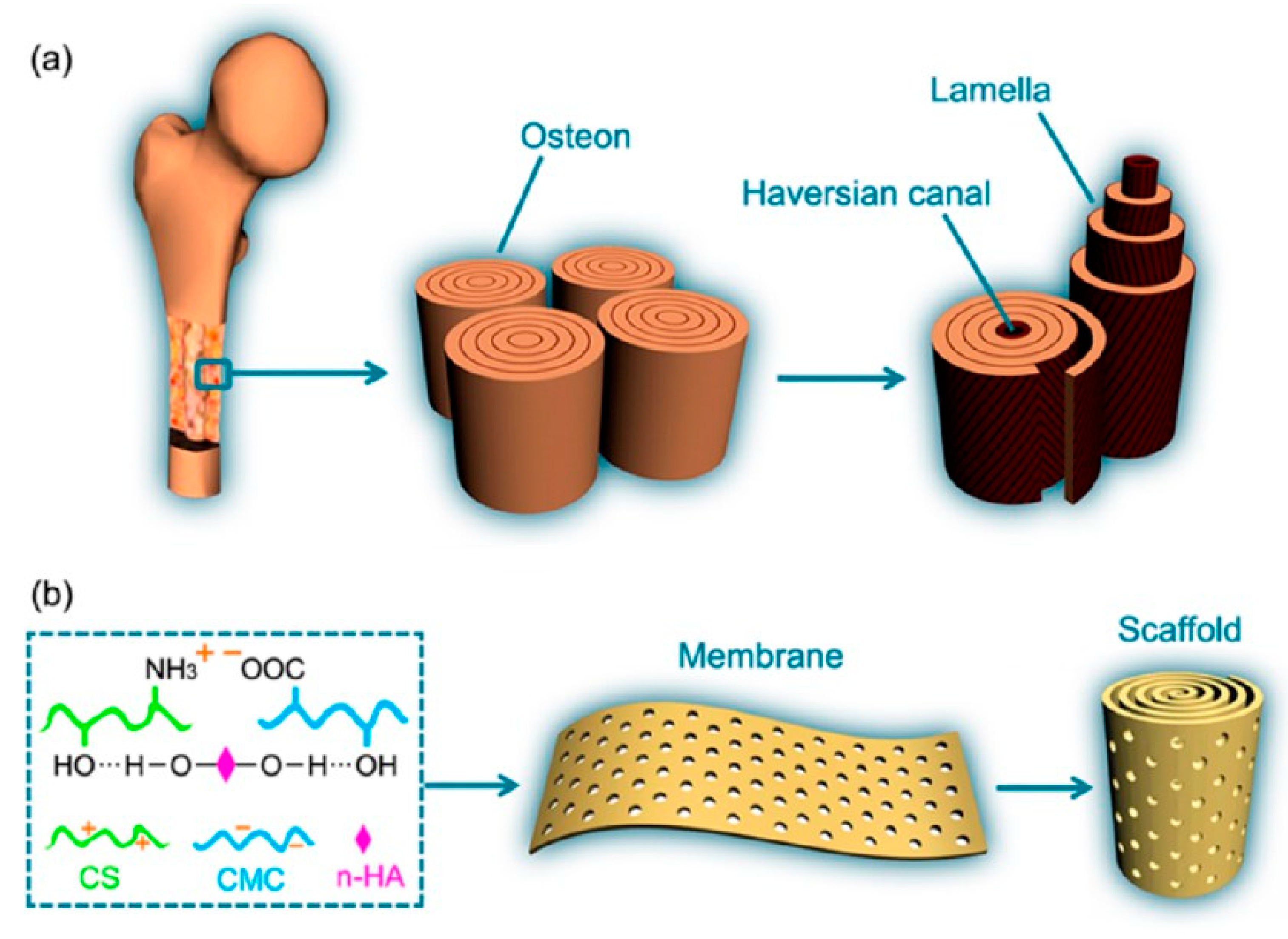 Materials 13 02481 g009 Materials 13 02481 g009