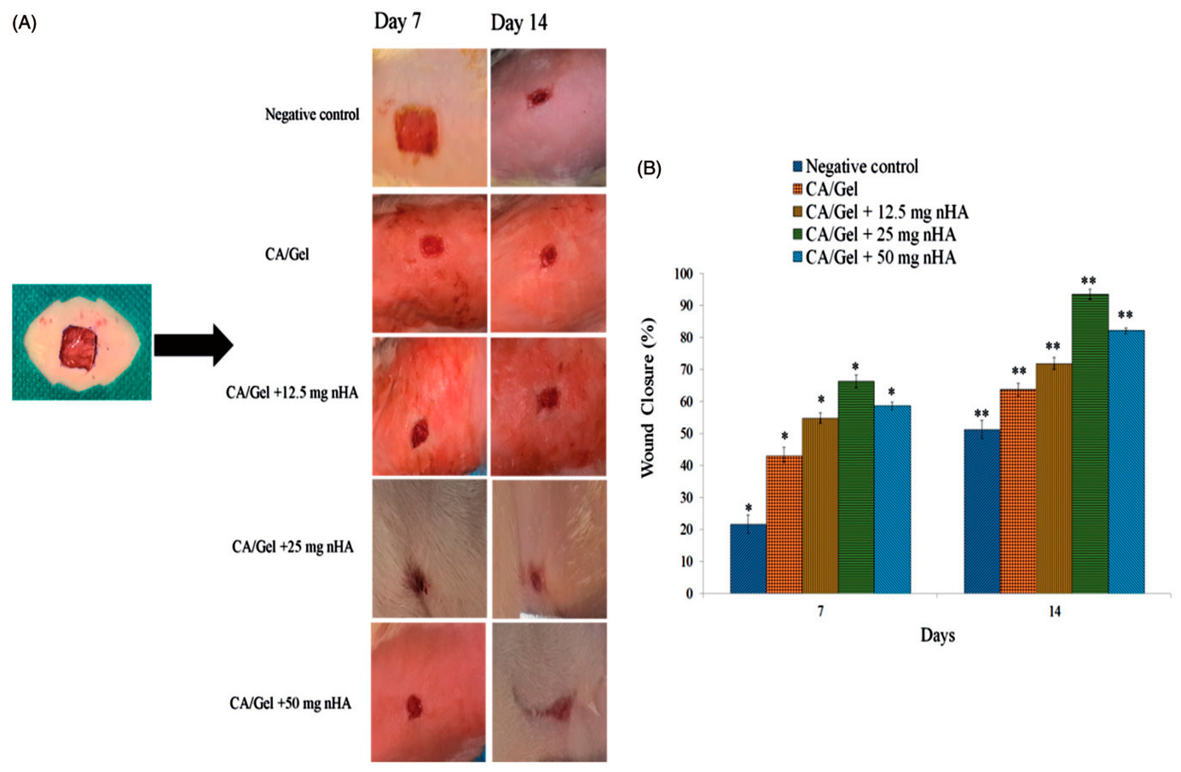Materials 13 02481 g010 Materials 13 02481 g010