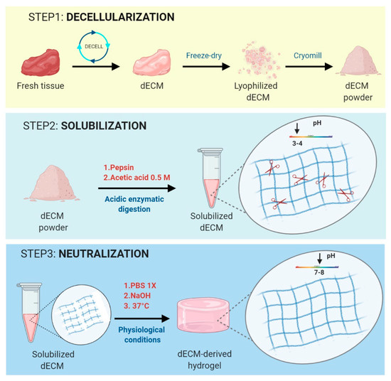 Materials Free Full Text Extracellular Matrix Derived Hydrogels As materials-free-full-text-extracellular-matrix-derived-hydrogels-as
