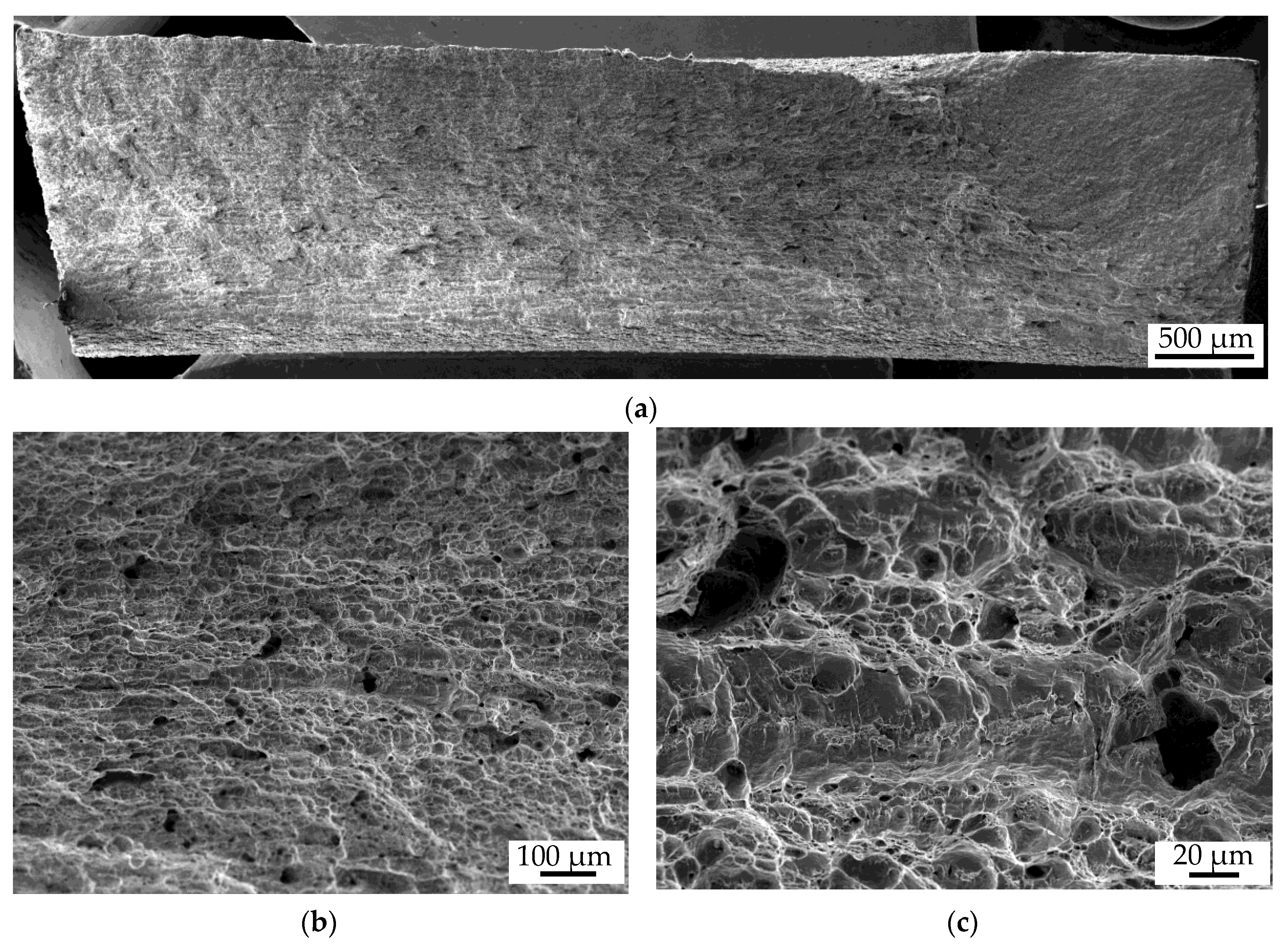 Materials 13 02486 g009