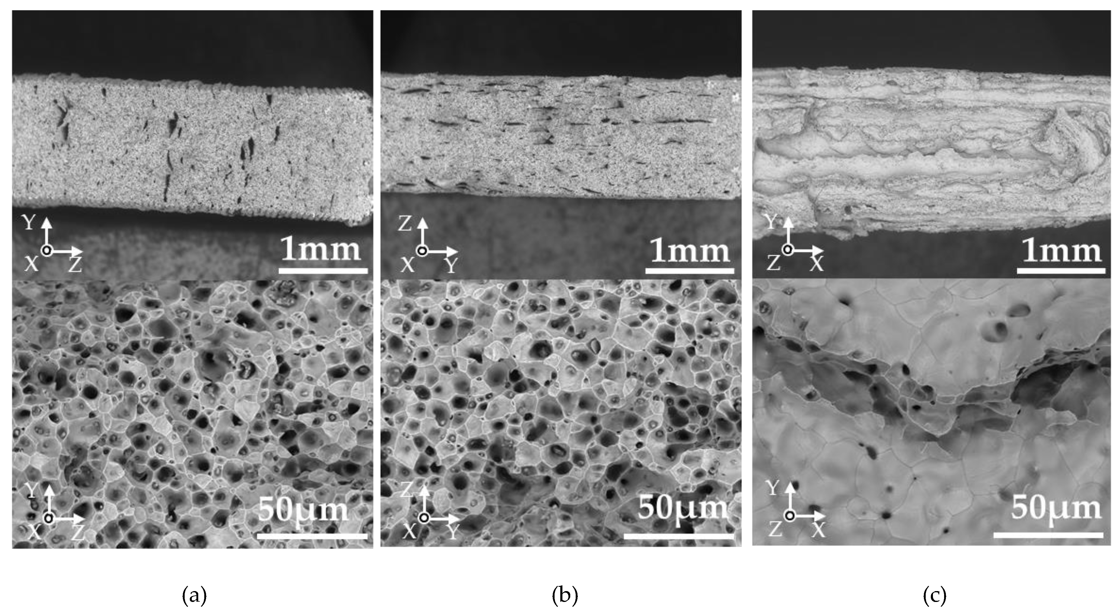 Materials 13 02493 g007