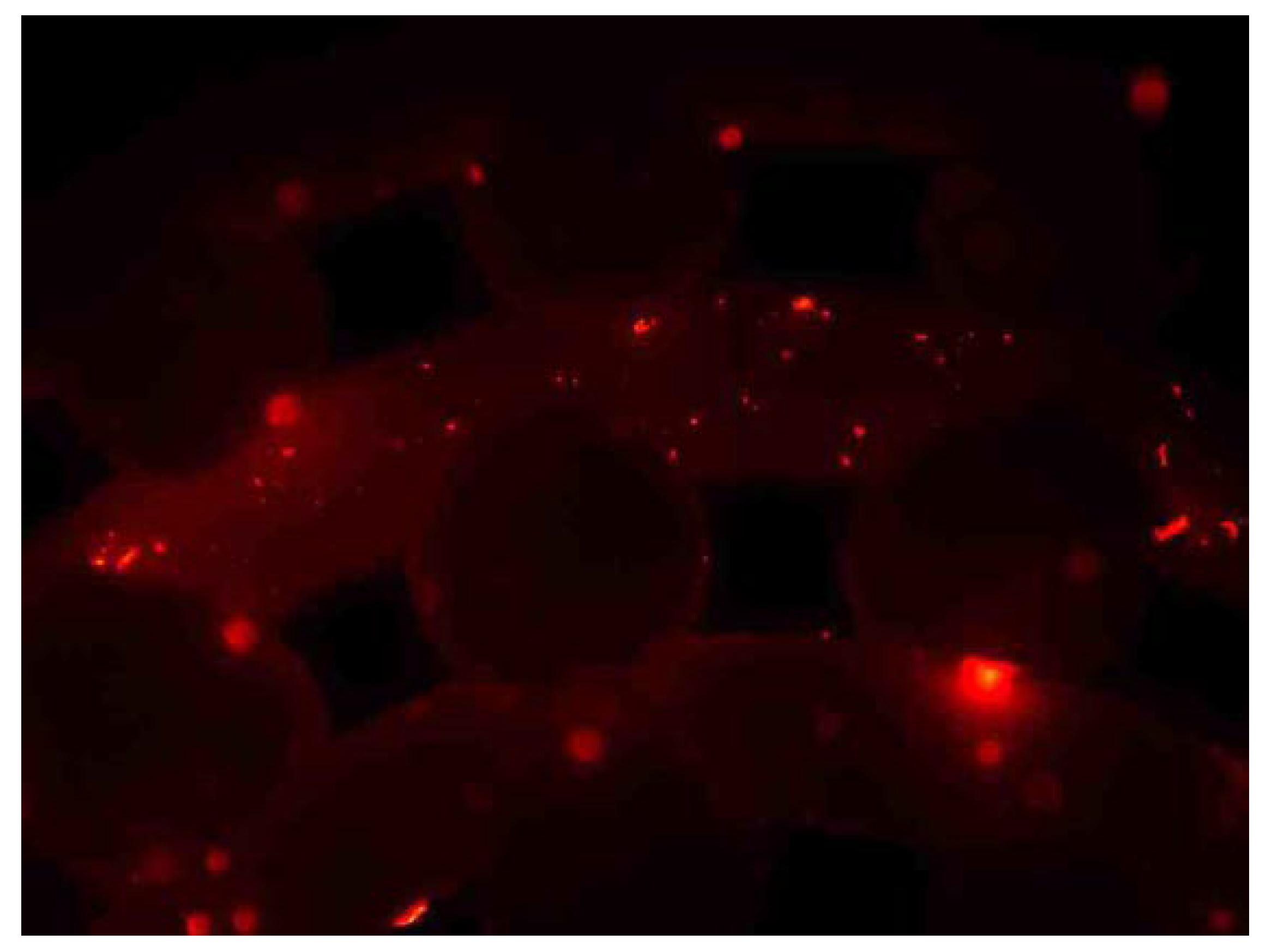 Materials 13 02497 g007 Materials 13 02497 g007