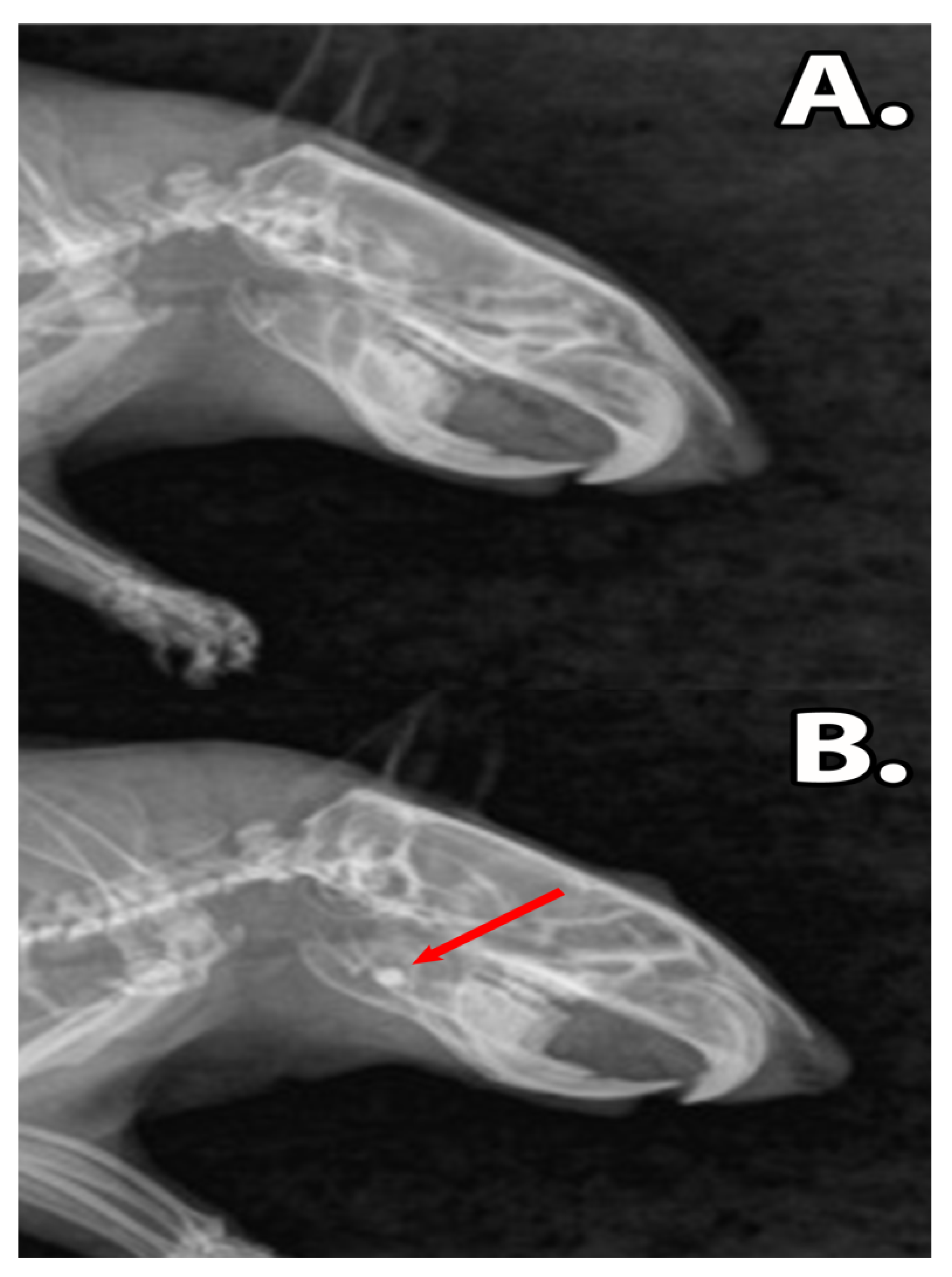 Materials 13 02511 g004 Materials 13 02511 g004