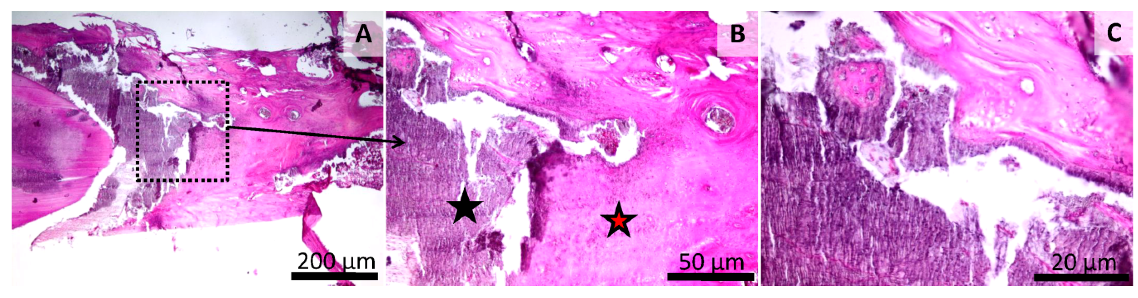 Materials 13 02511 g009 Materials 13 02511 g009