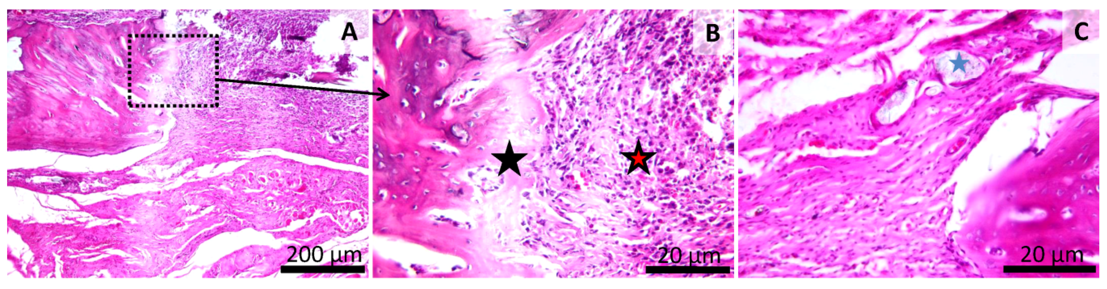 Materials 13 02511 g010 Materials 13 02511 g010