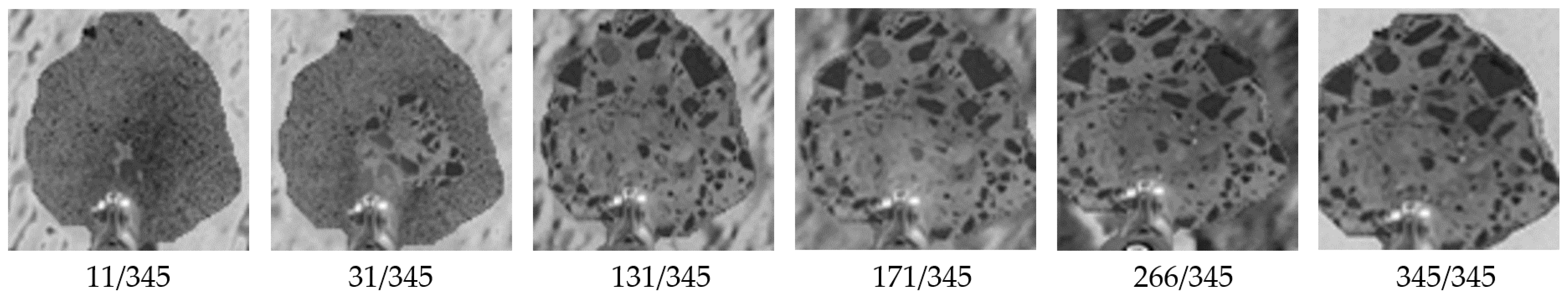 Materials 13 02516 g017 550