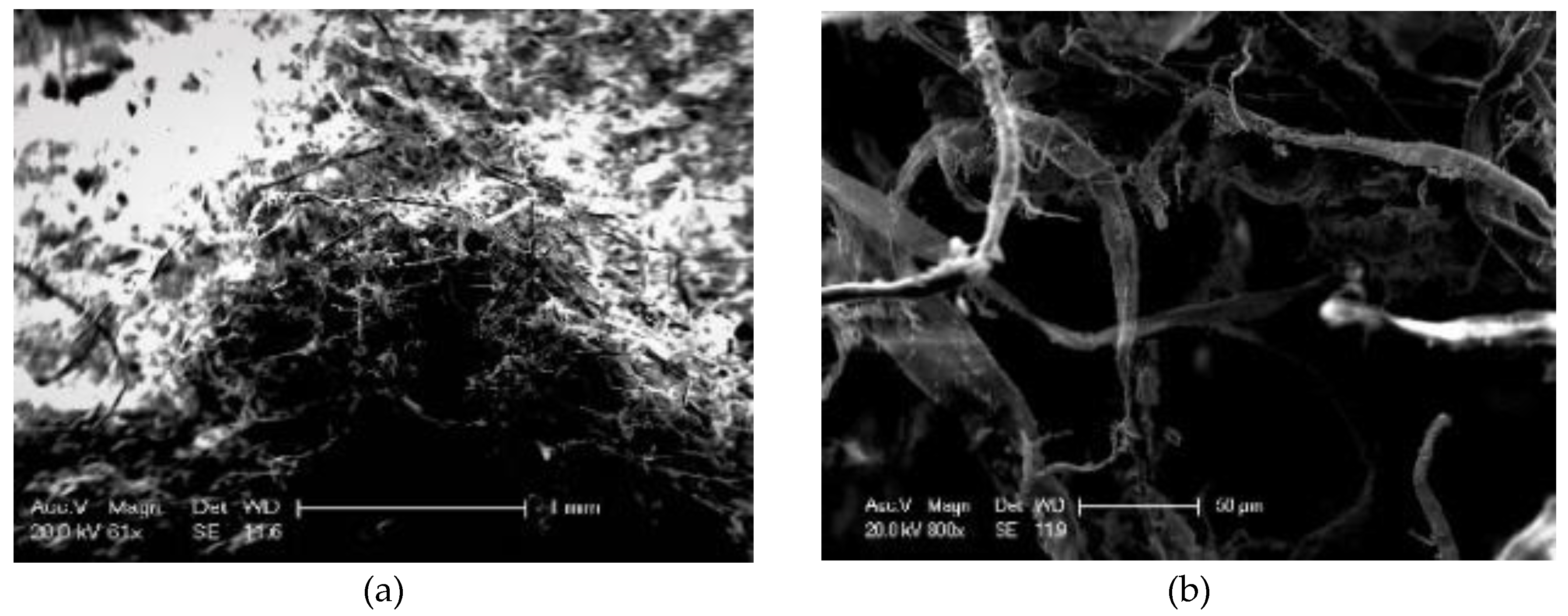 Materials 13 02520 g014 Materials 13 02520 g014