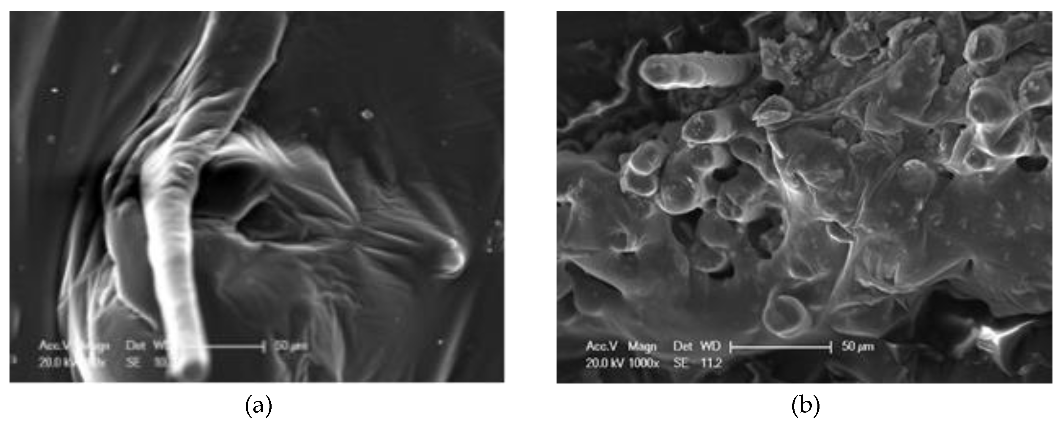 Materials 13 02520 g015 Materials 13 02520 g015