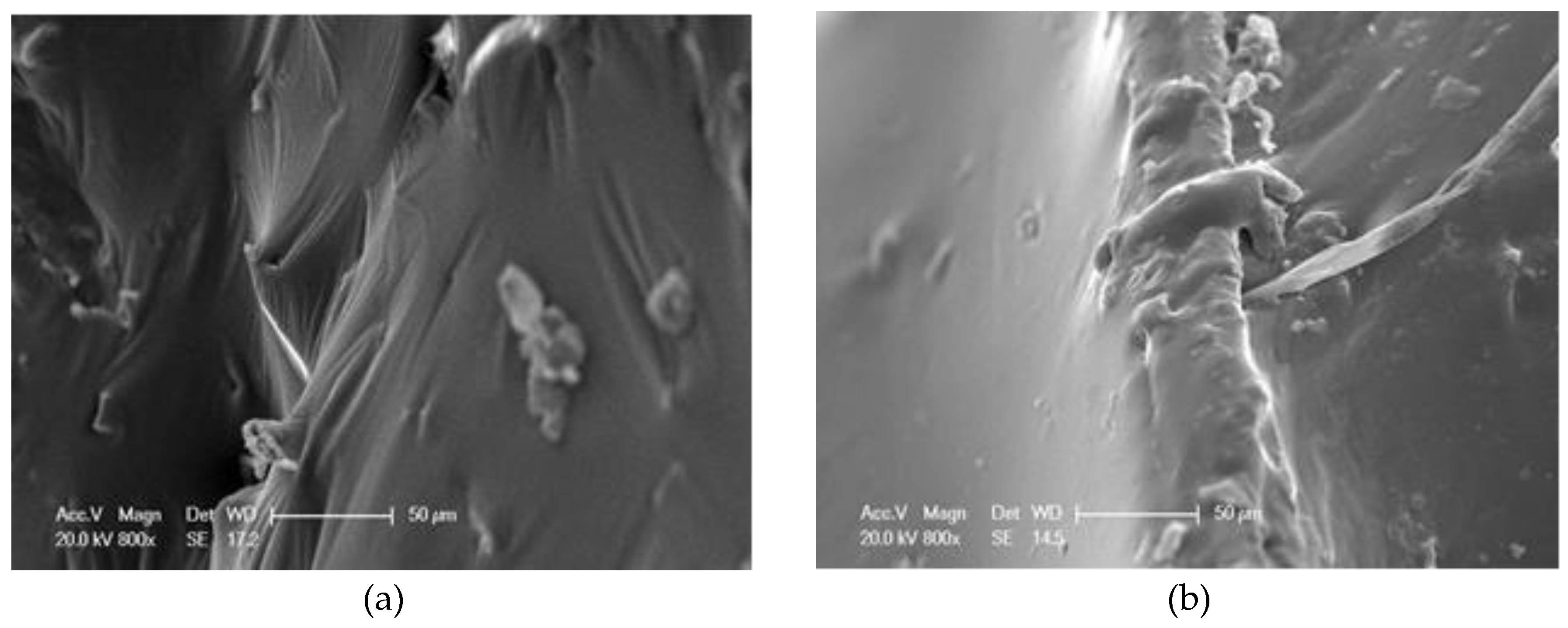 Materials 13 02520 g016 Materials 13 02520 g016