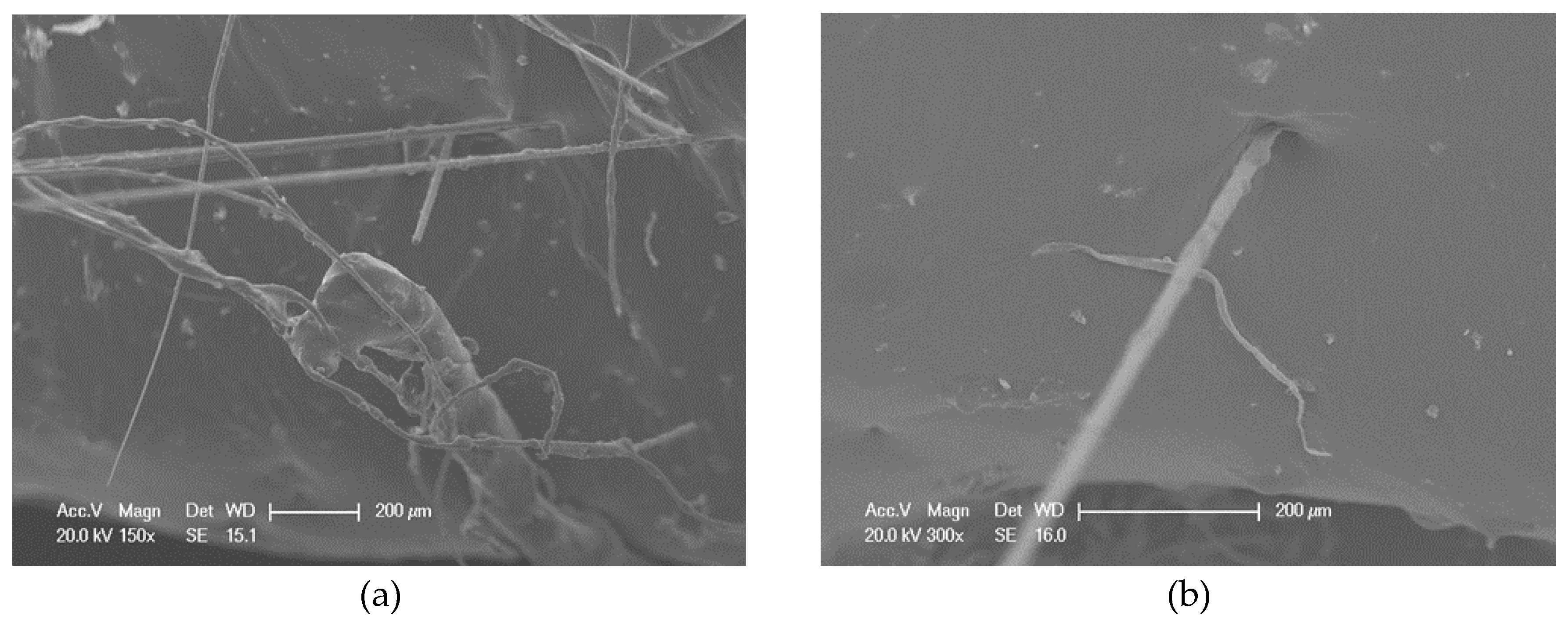 Materials 13 02520 g017 Materials 13 02520 g017