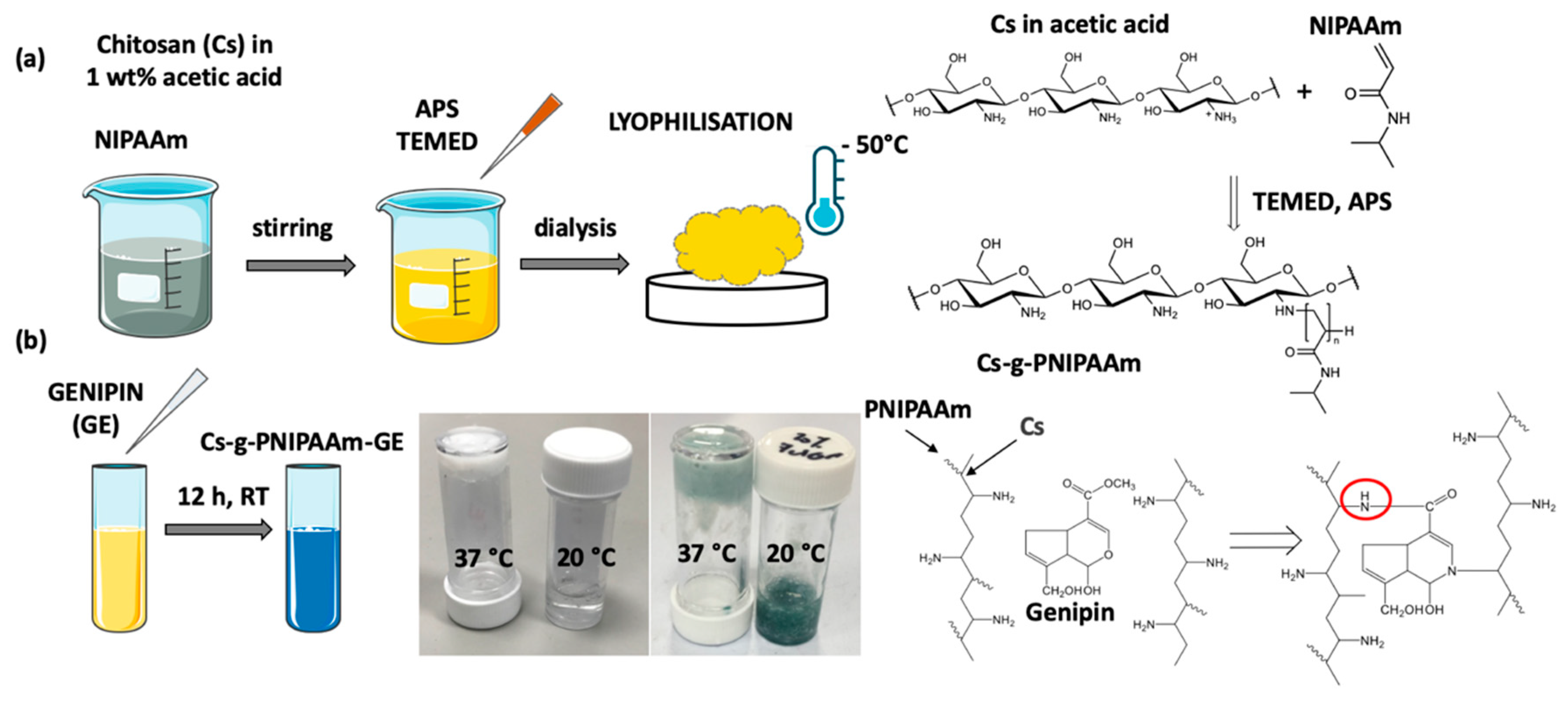 Materials 13 02530 g001 Materials 13 02530 g001