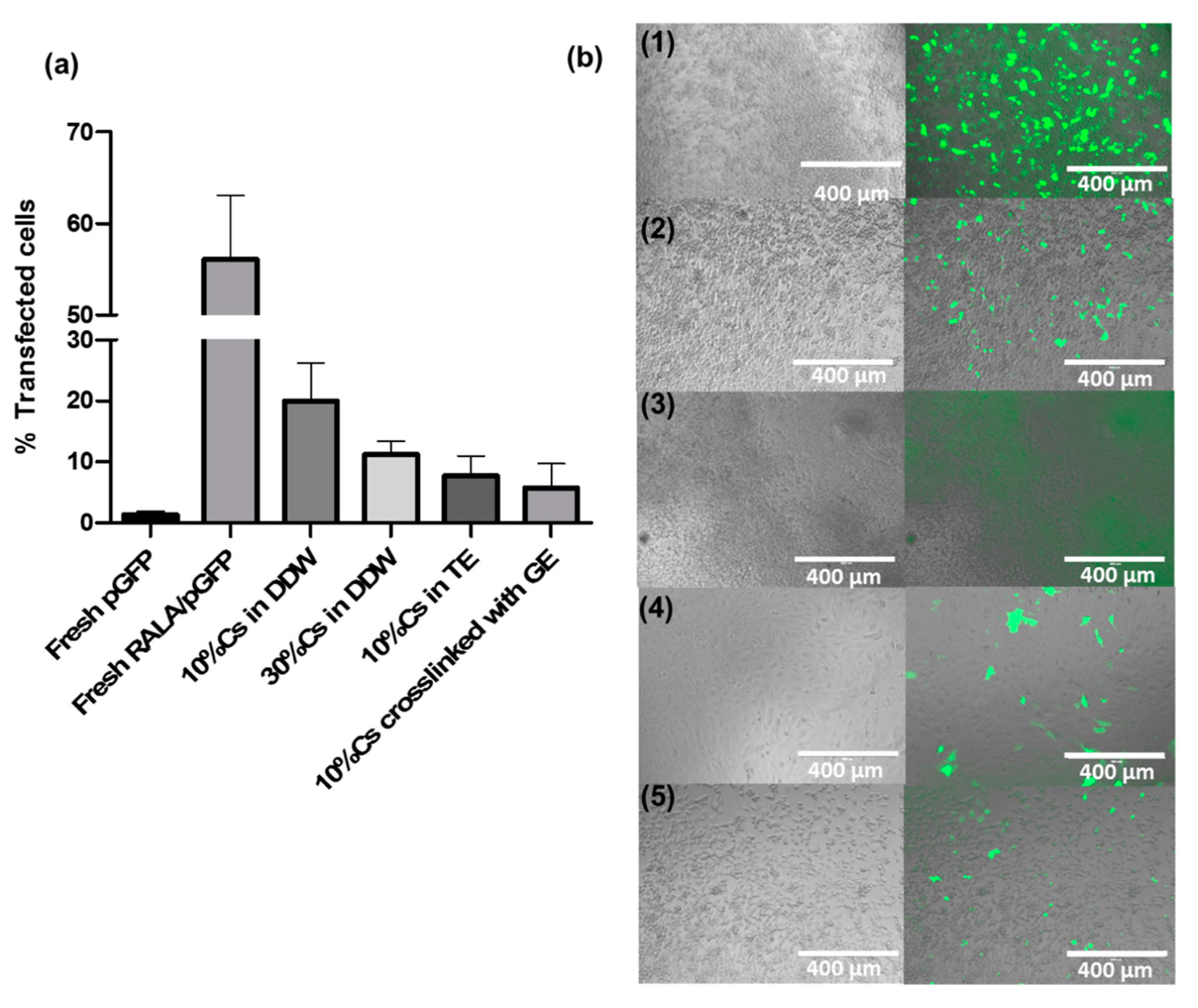 Materials Free Full Text Synthesis And Evaluation Of A Thermoresponsive Degradable Chitosan Grafted Pnipaam Hydrogel As A Smart Gene Delivery System Html