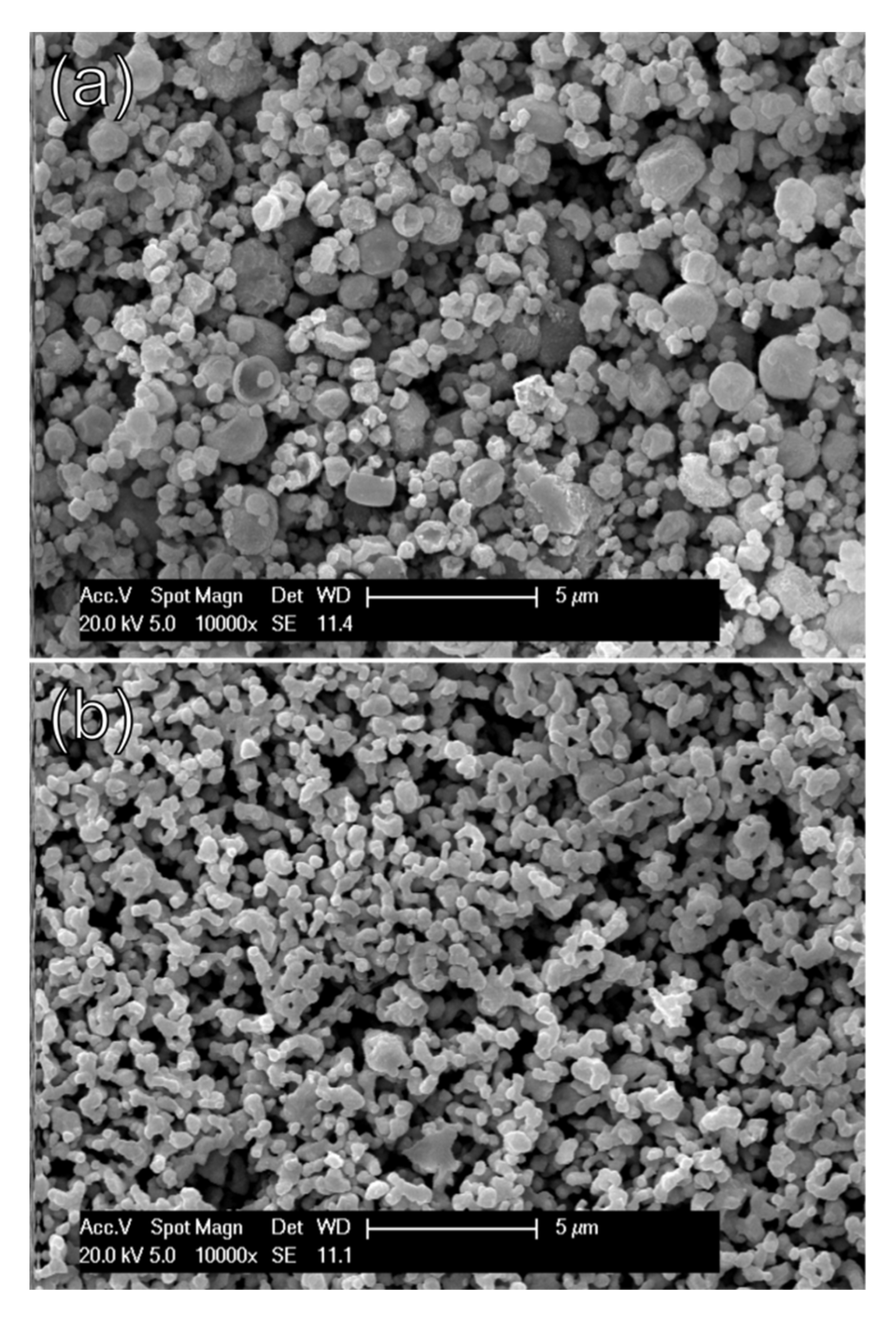 Materials 13 02532 g005