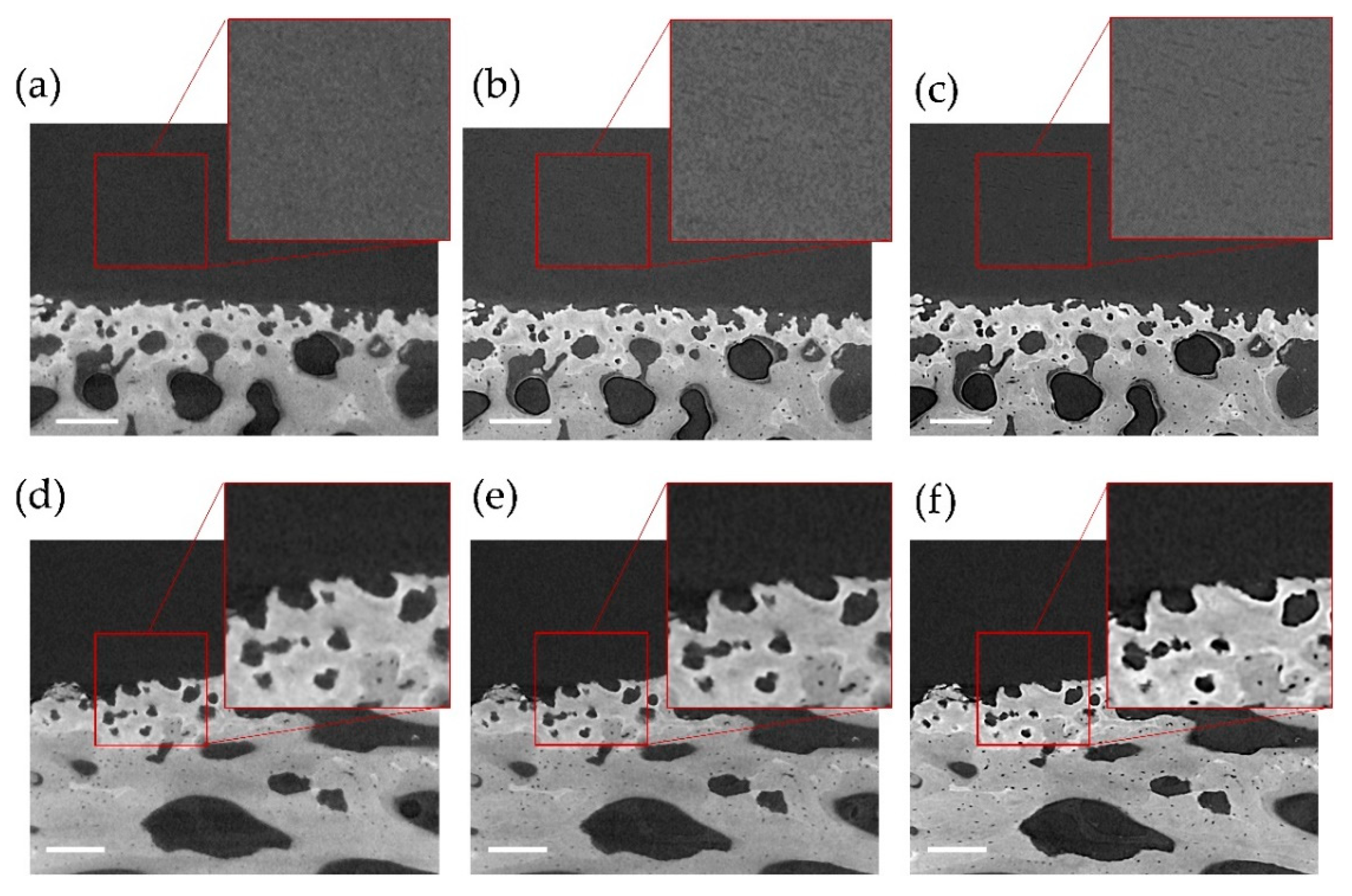 Materials 13 02579 g002 Materials 13 02579 g002