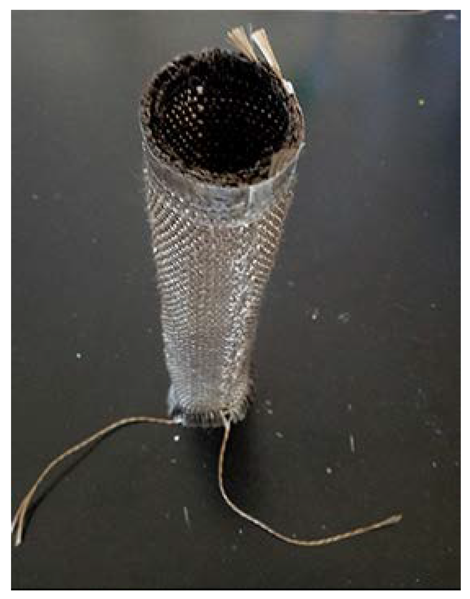 Materials 13 02584 g004 Materials 13 02584 g004