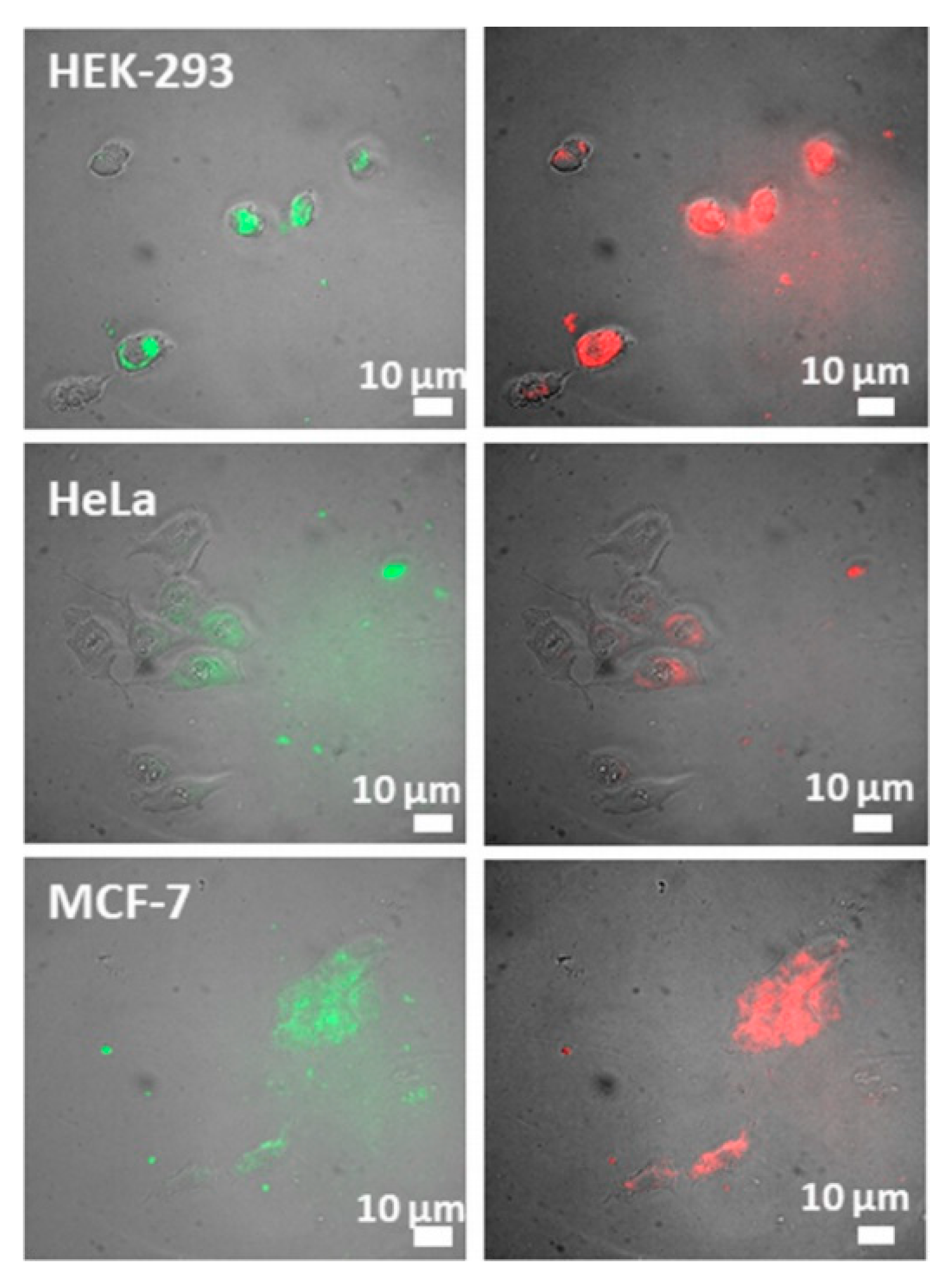 Materials 13 02586 g008 Materials 13 02586 g008