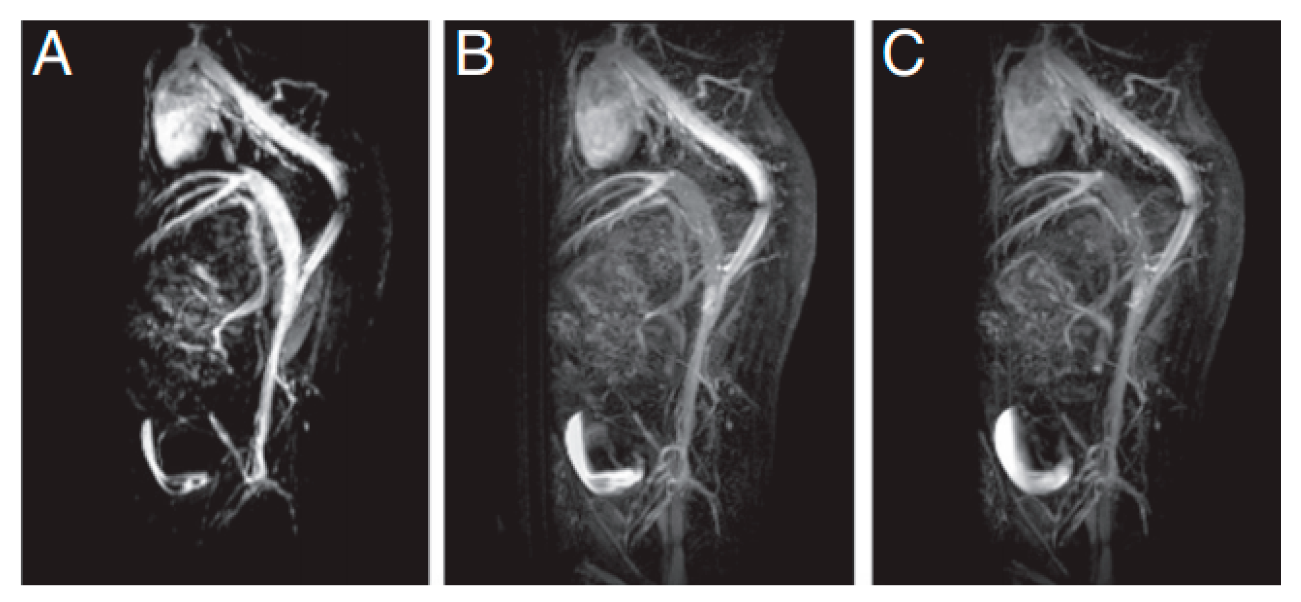 Materials 13 02586 g011 Materials 13 02586 g011
