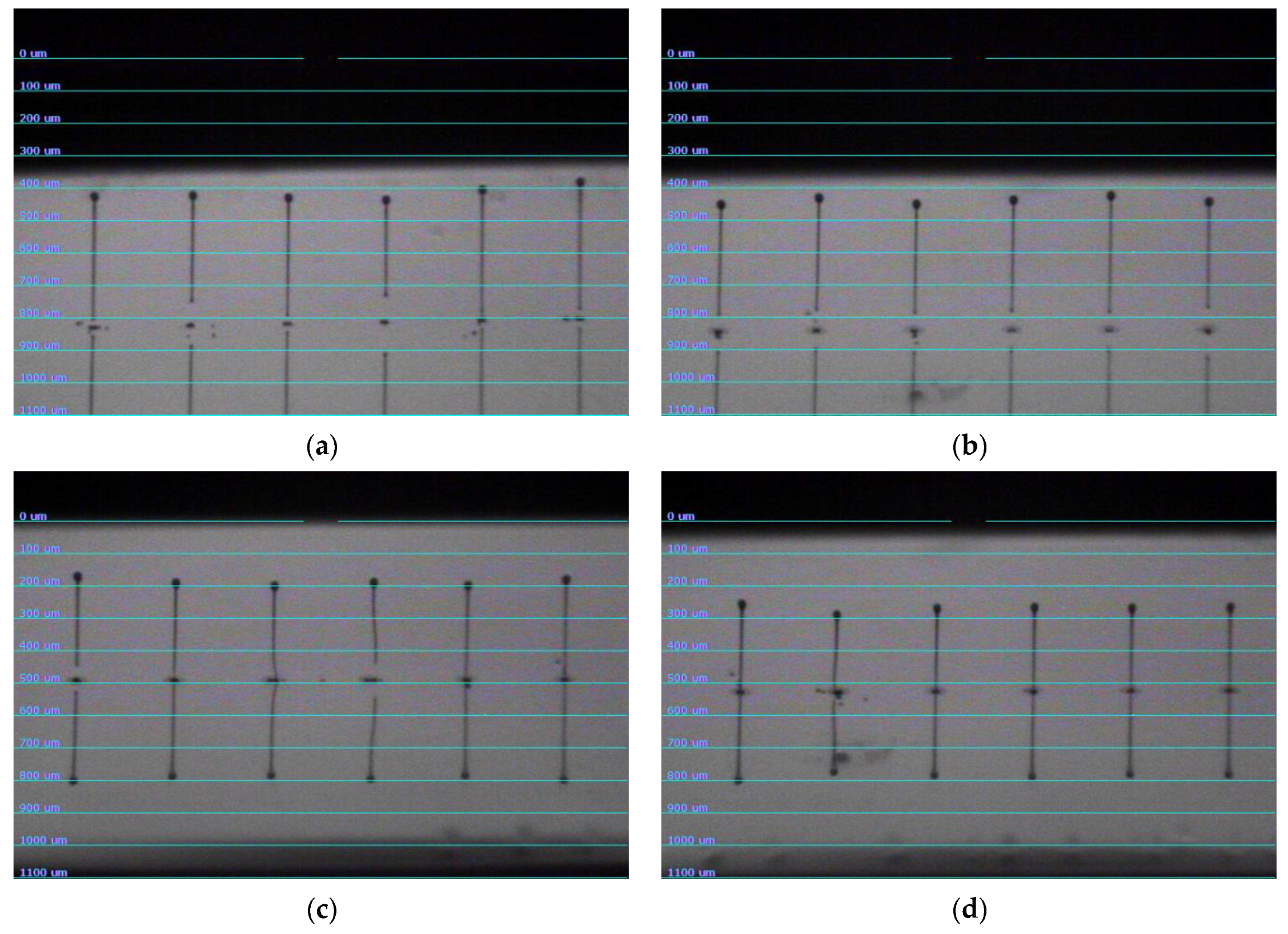 Materials 13 02587 g0a3 Materials 13 02587 g0a3
