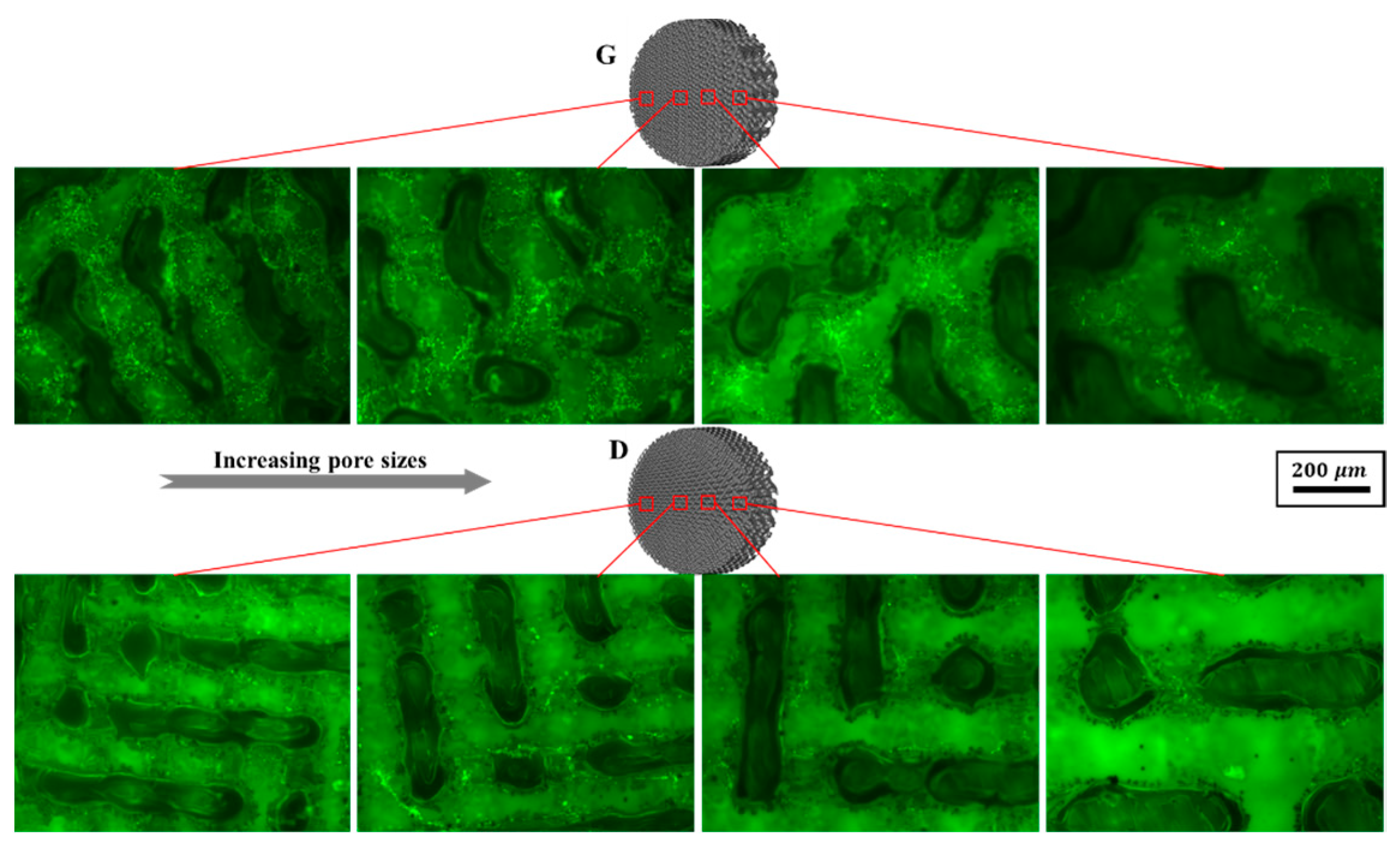 Materials 13 02589 g016 Materials 13 02589 g016