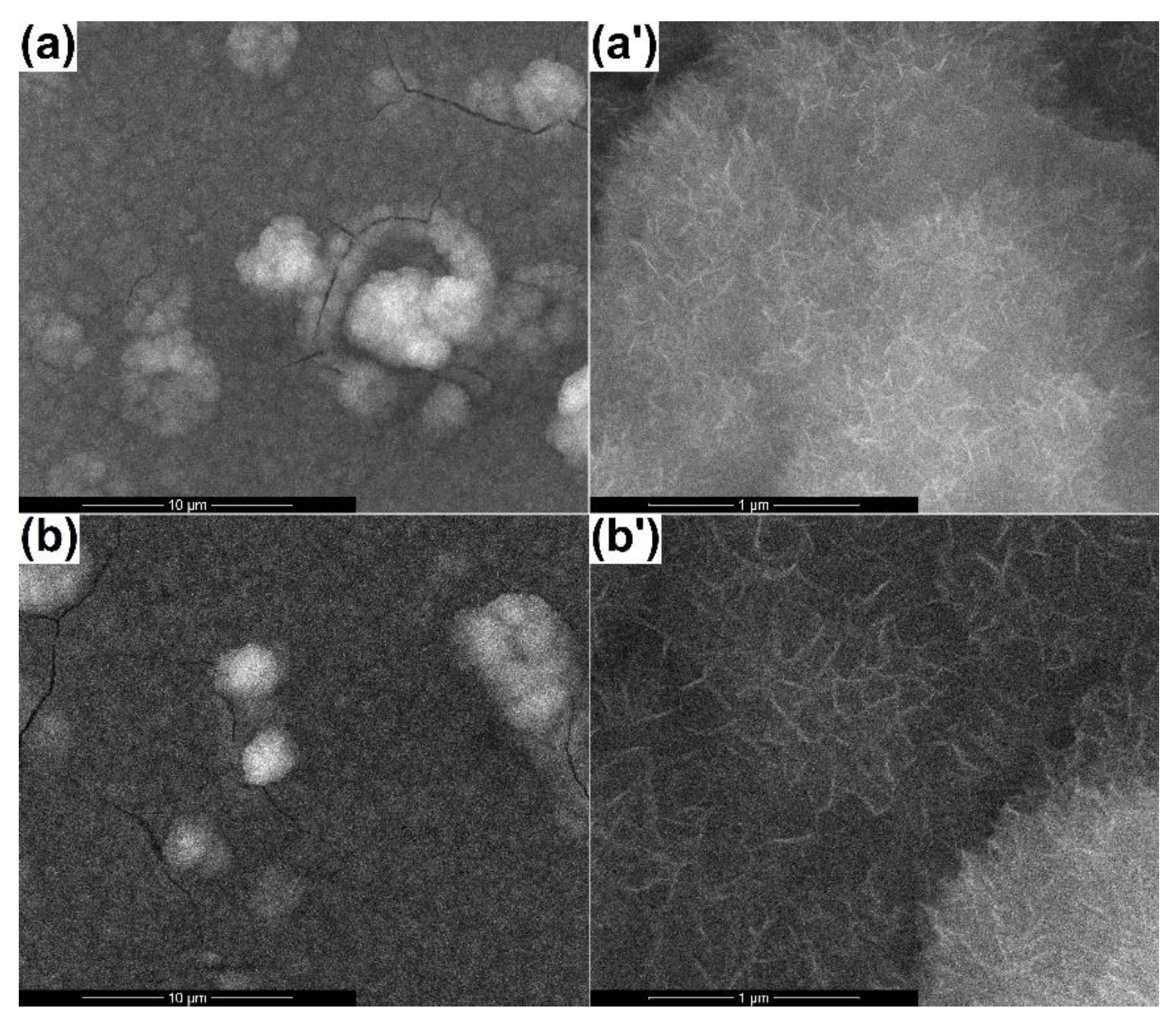 Materials 13 02615 g006 Materials 13 02615 g006