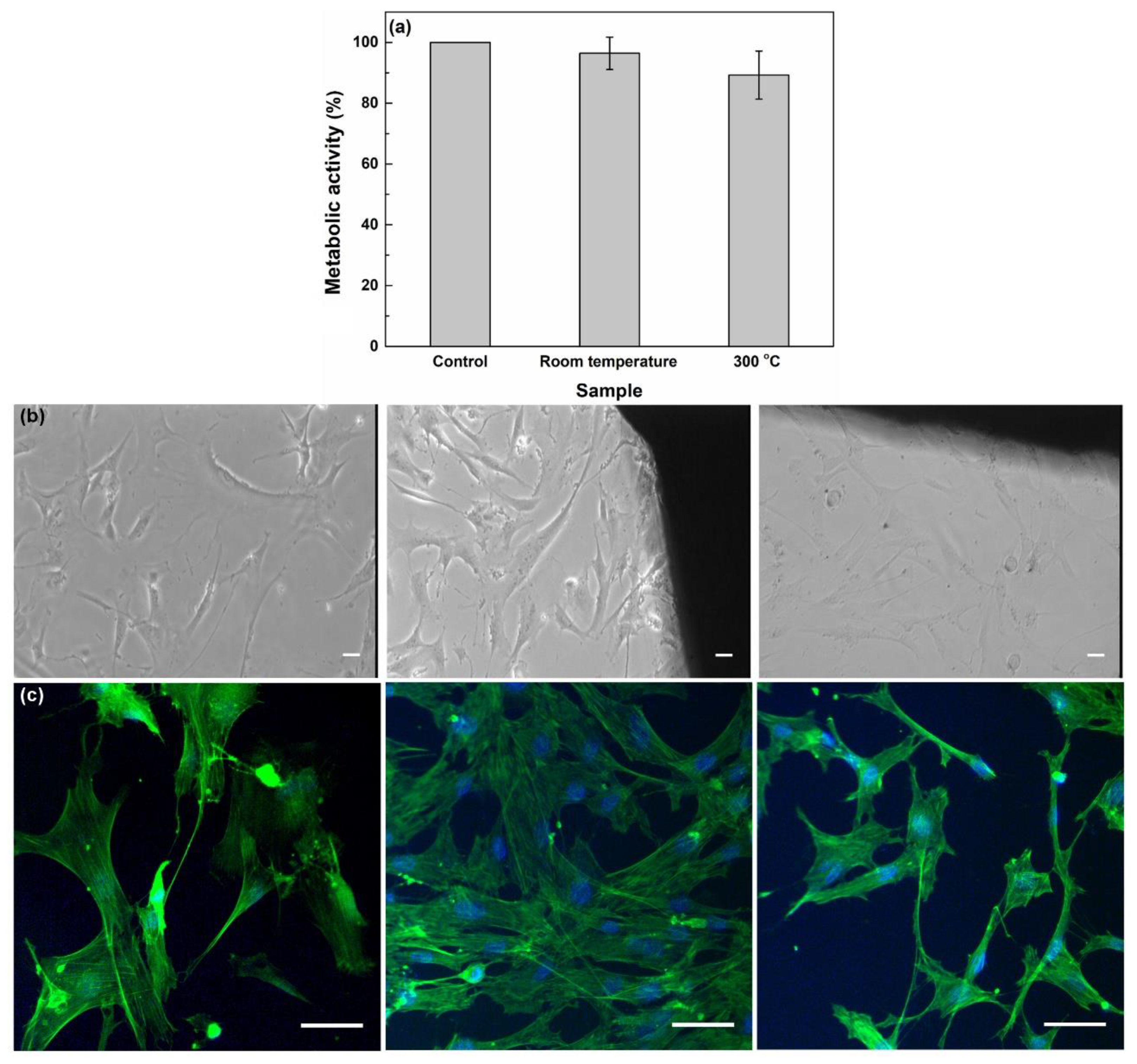 Materials 13 02615 g008 Materials 13 02615 g008
