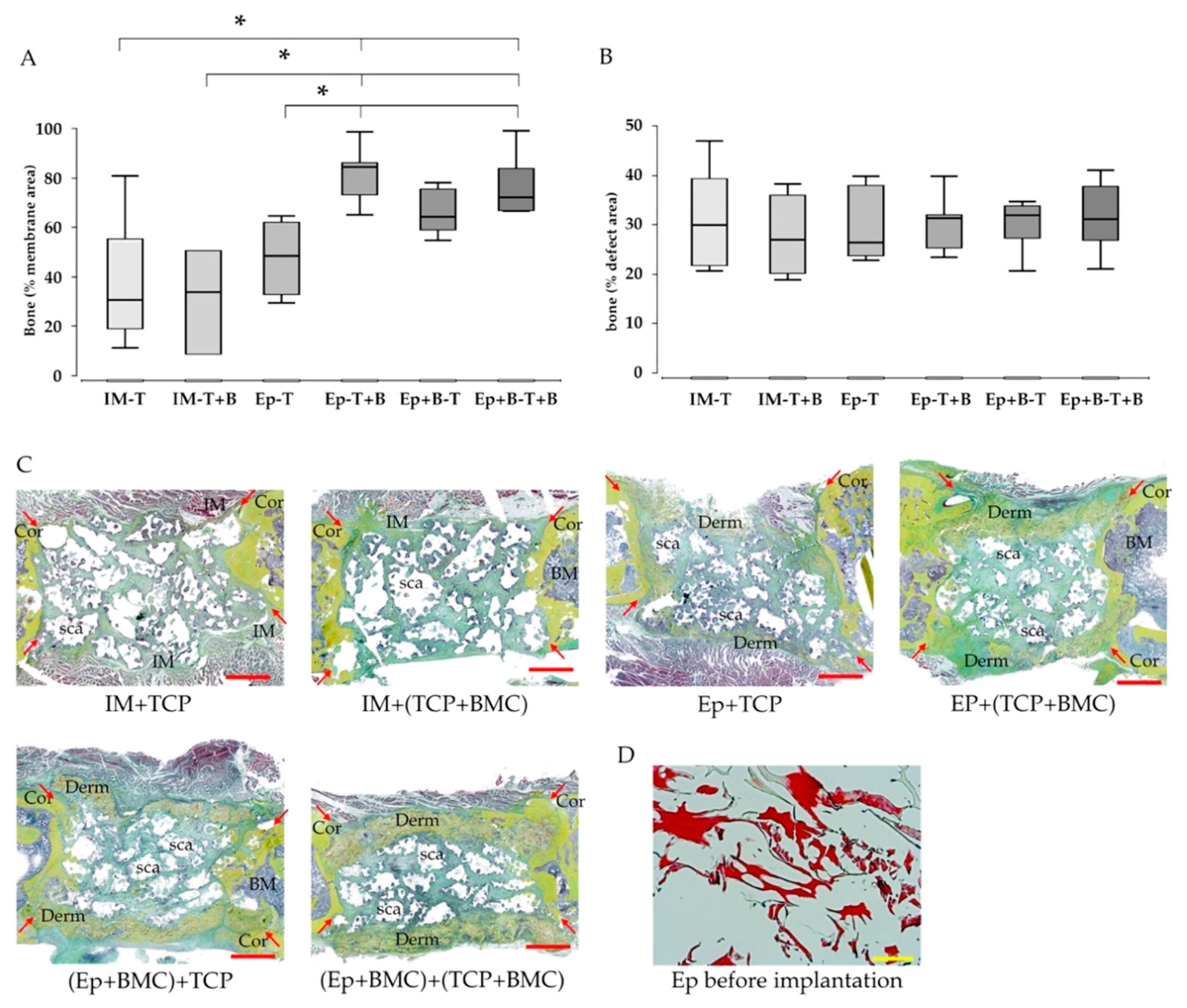 Materials 13 02629 g003