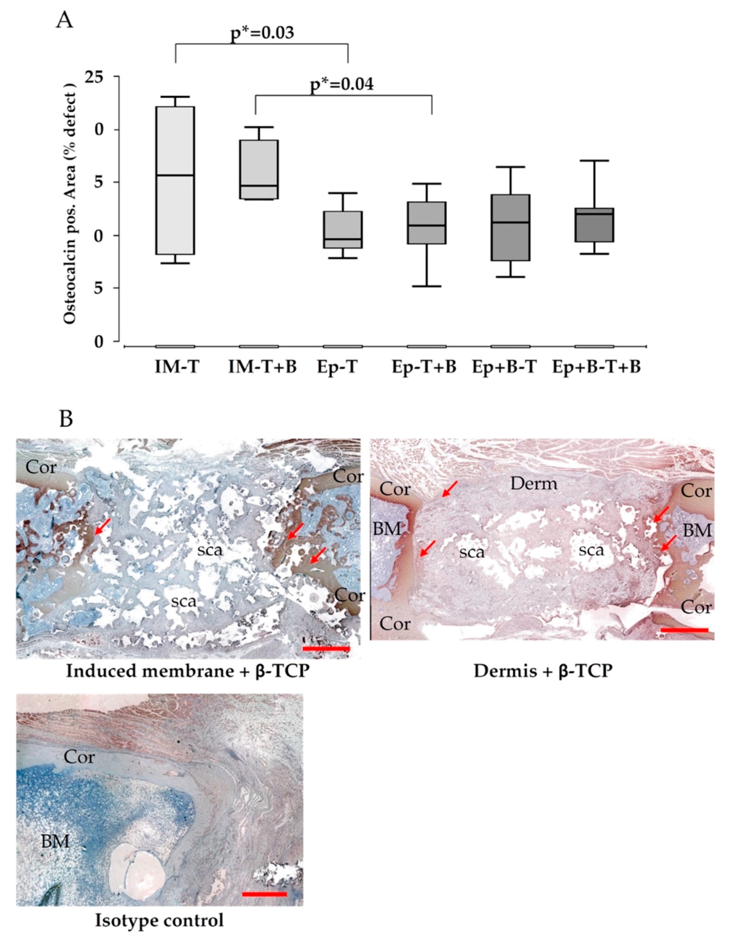 Materials 13 02629 g005