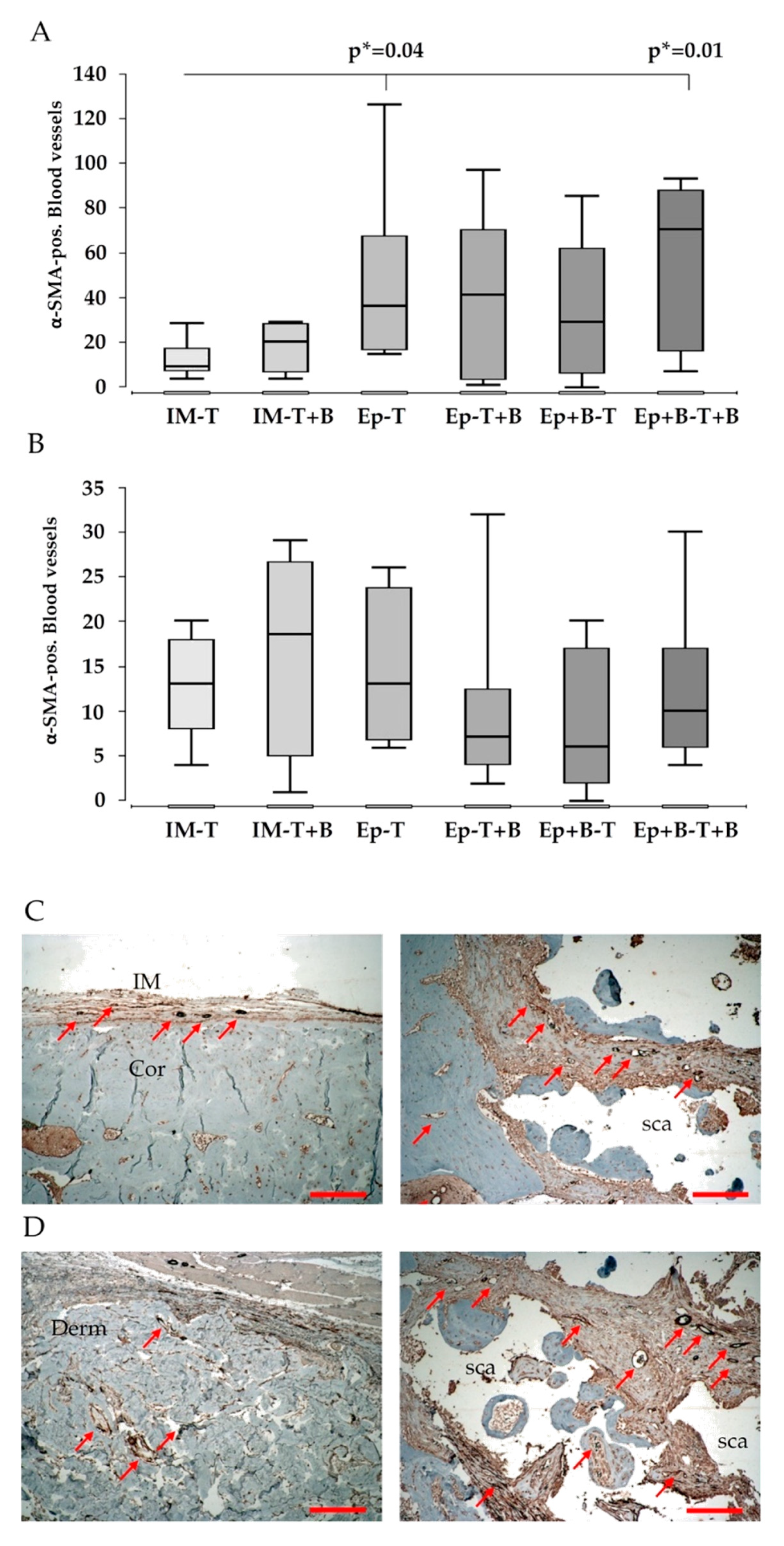 Materials 13 02629 g006