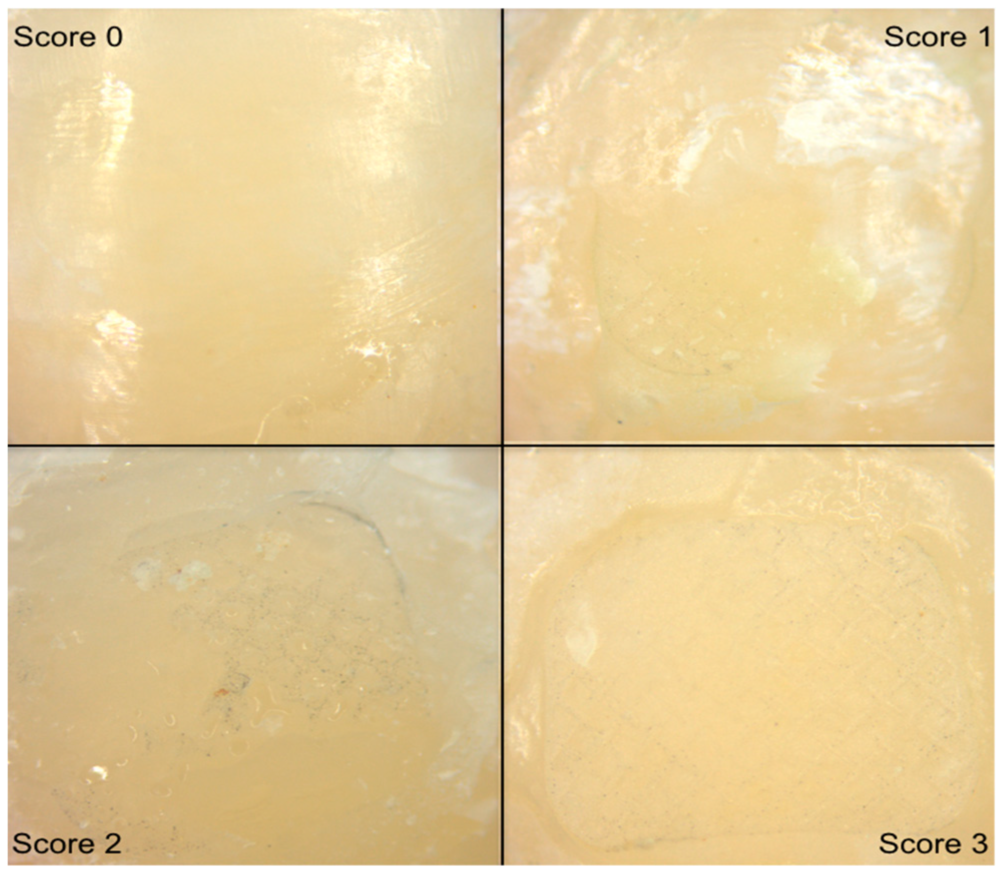 Materials 13 02644 g003 Materials 13 02644 g003