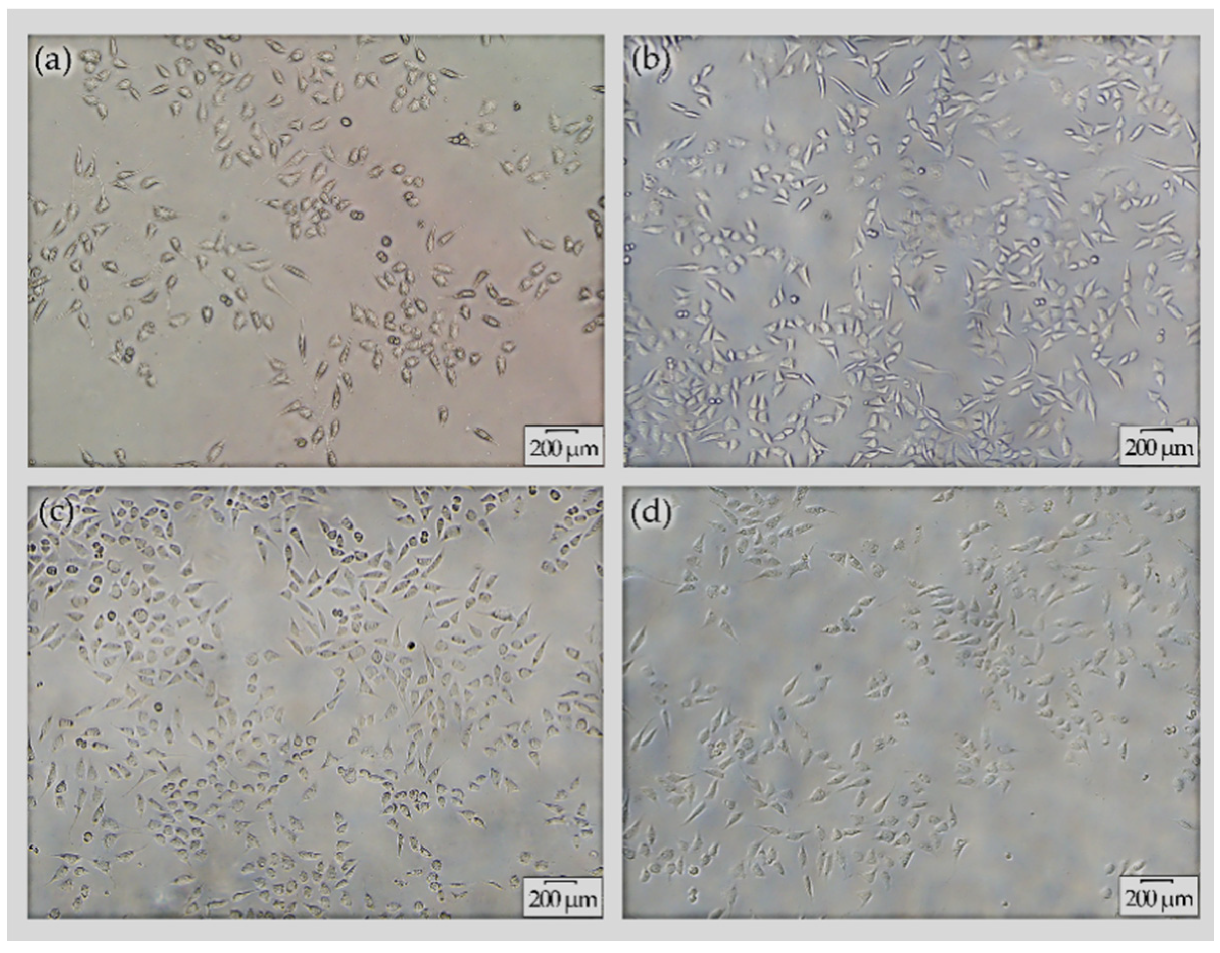 Materials 13 02647 g009 Materials 13 02647 g009